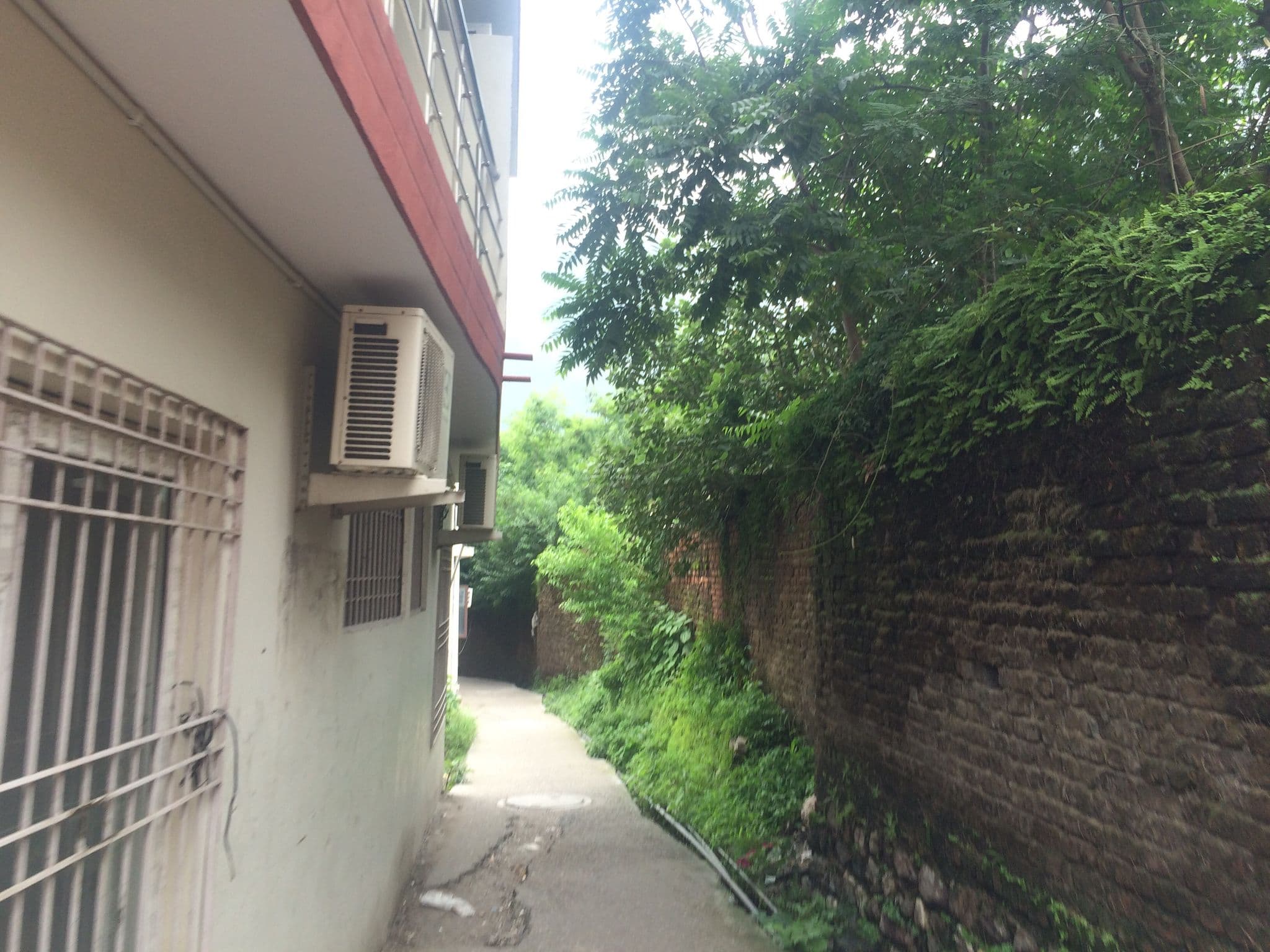 Street view near Anand Prakash Yoga, Rishīkesh
