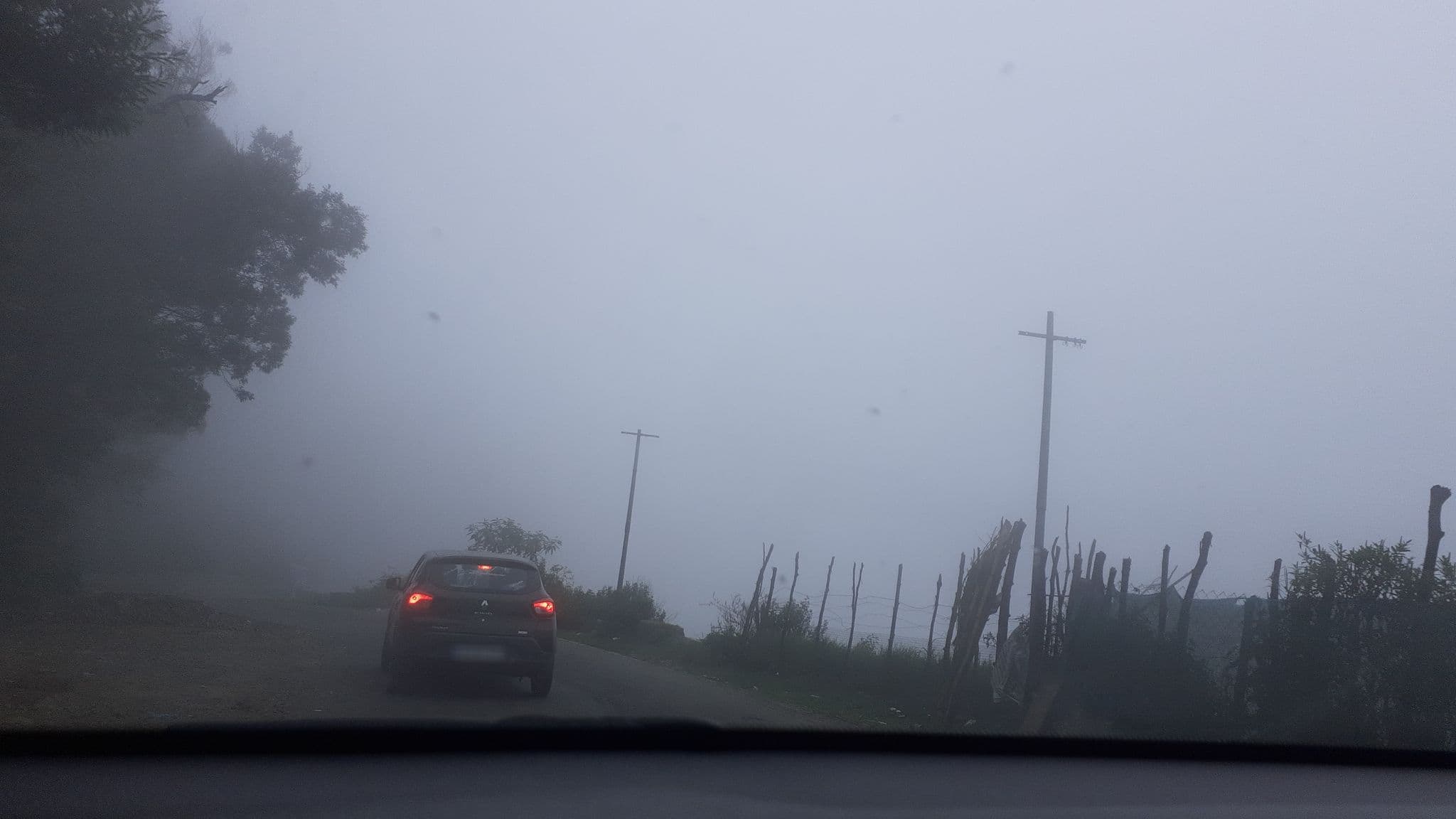 Street view near Hotel Bala, Kodaikānāl — © michaelraj (CC BY-SA · Mapillary)