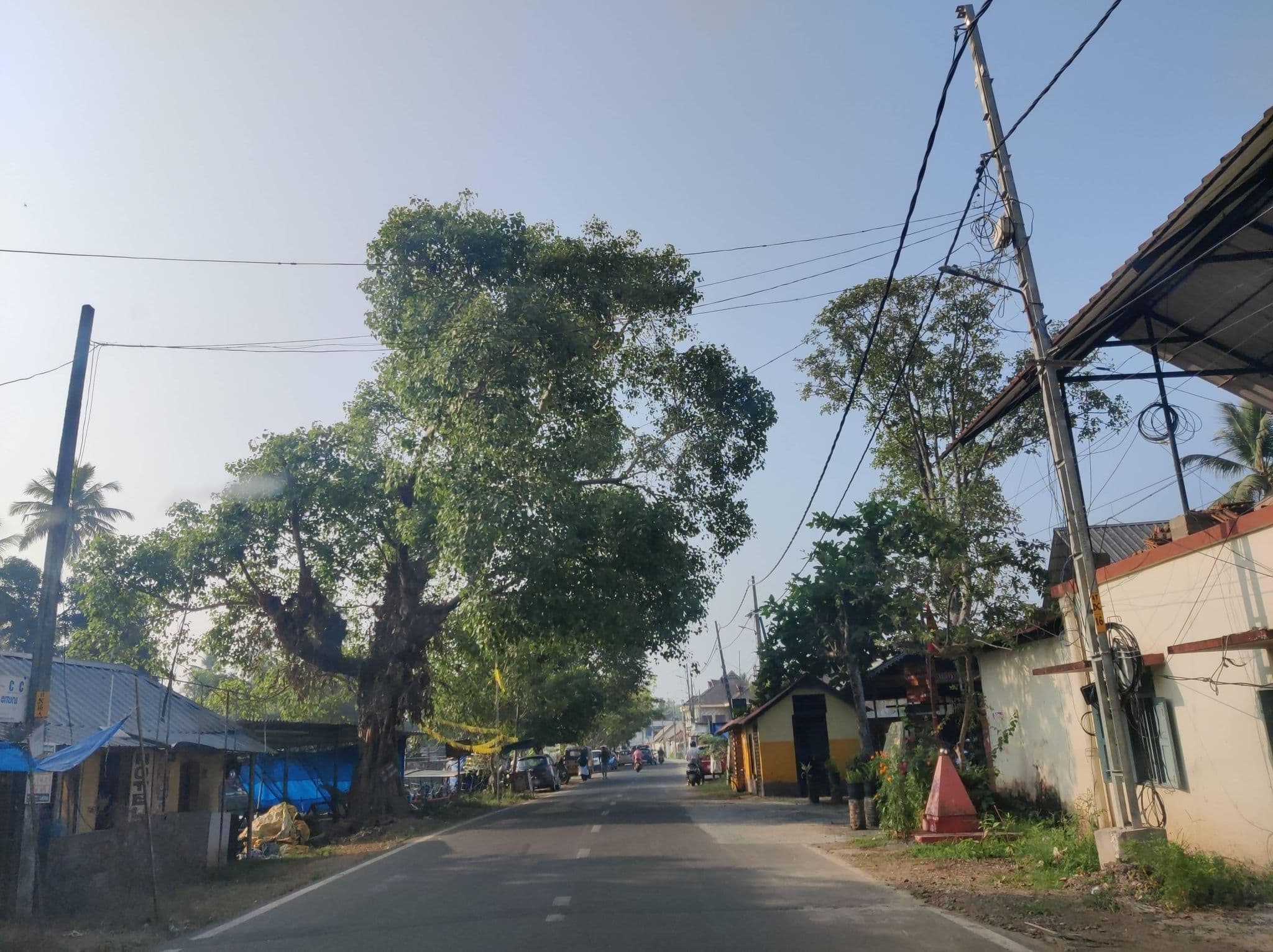 Street view near kattassery, Alappuzha — © Gannu03 (CC BY-SA · Mapillary)
