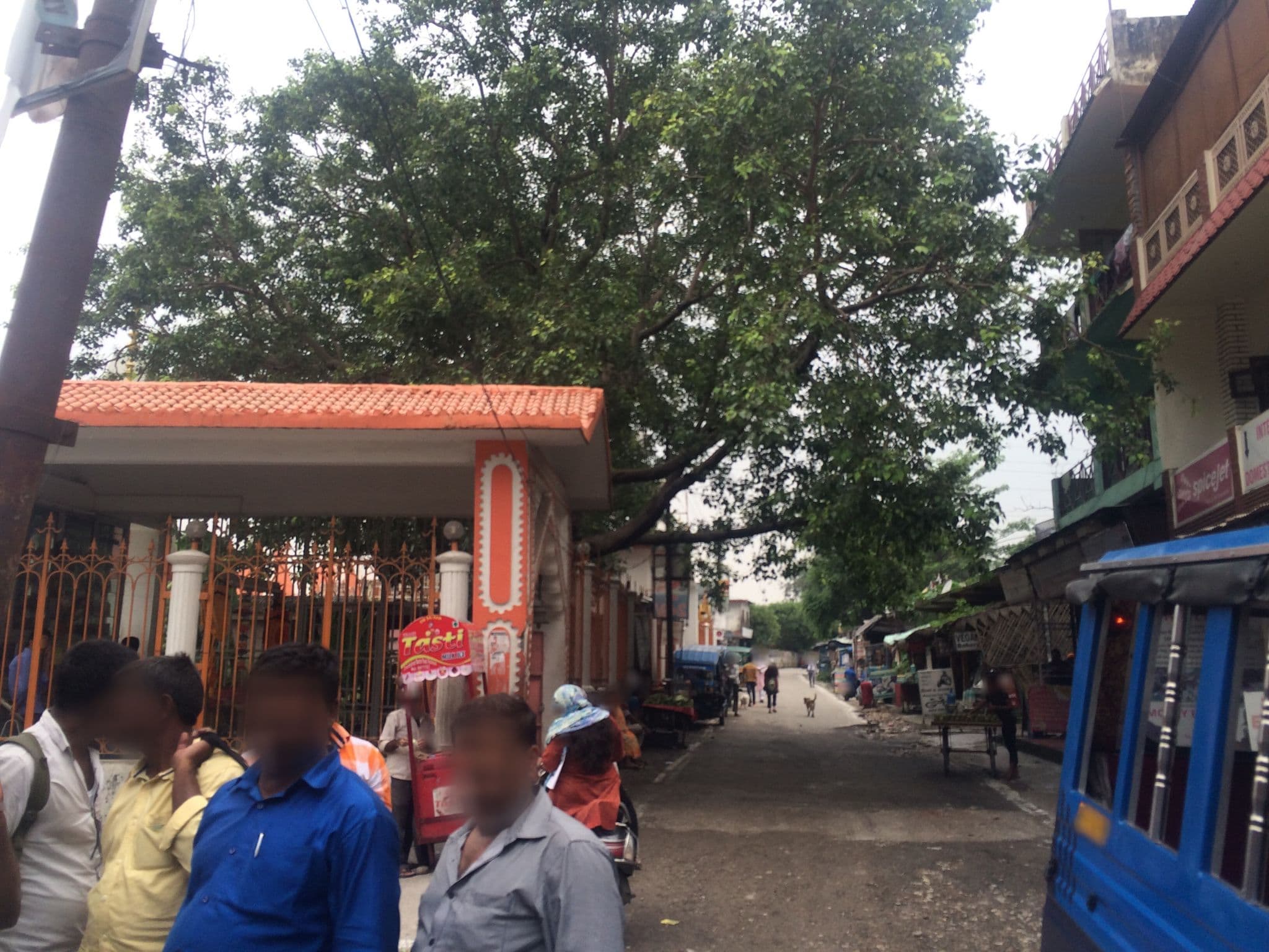 Street view near Live Free Hostel, Rishīkesh