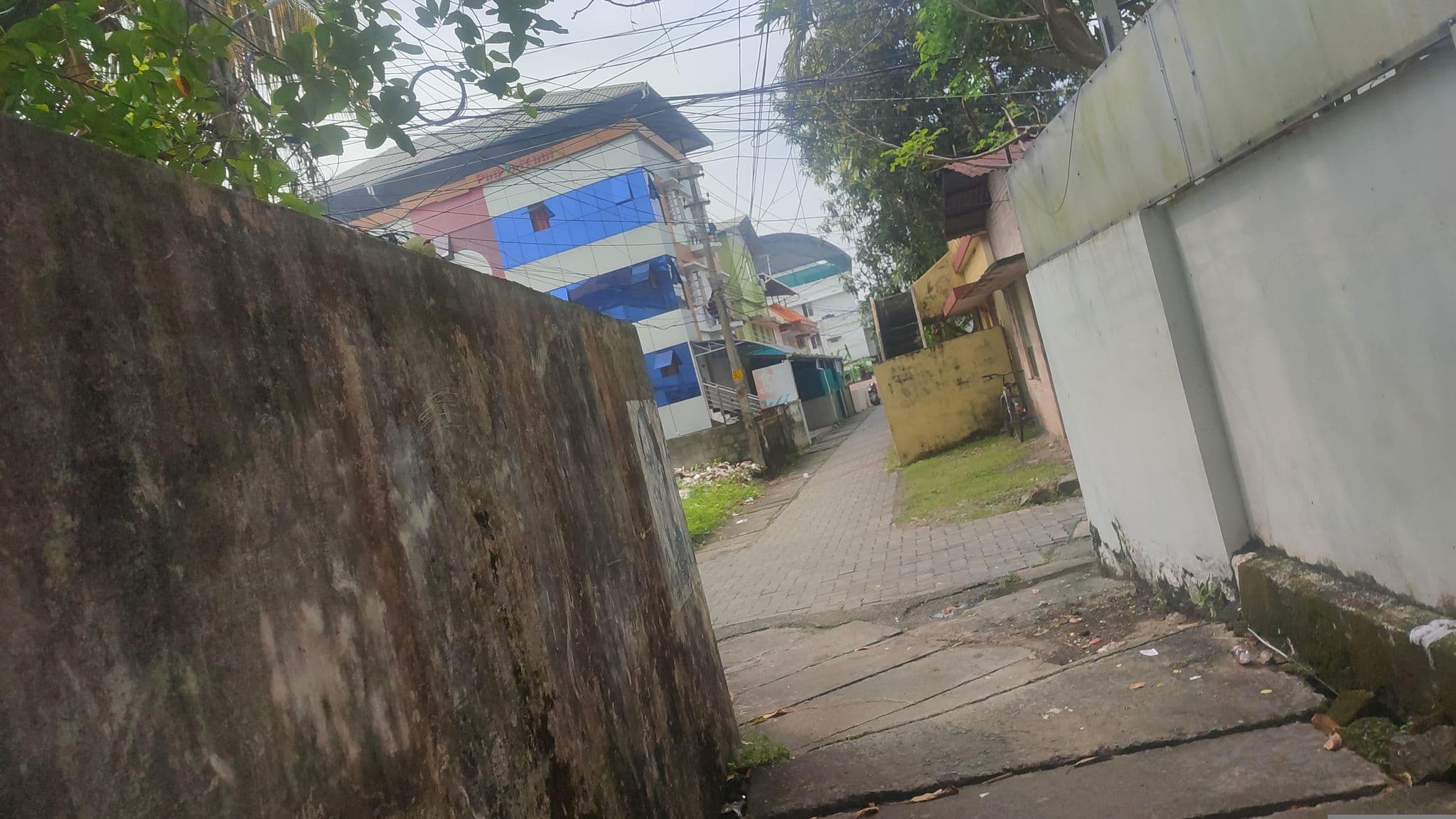 Street view near David Villa, Kanayannur