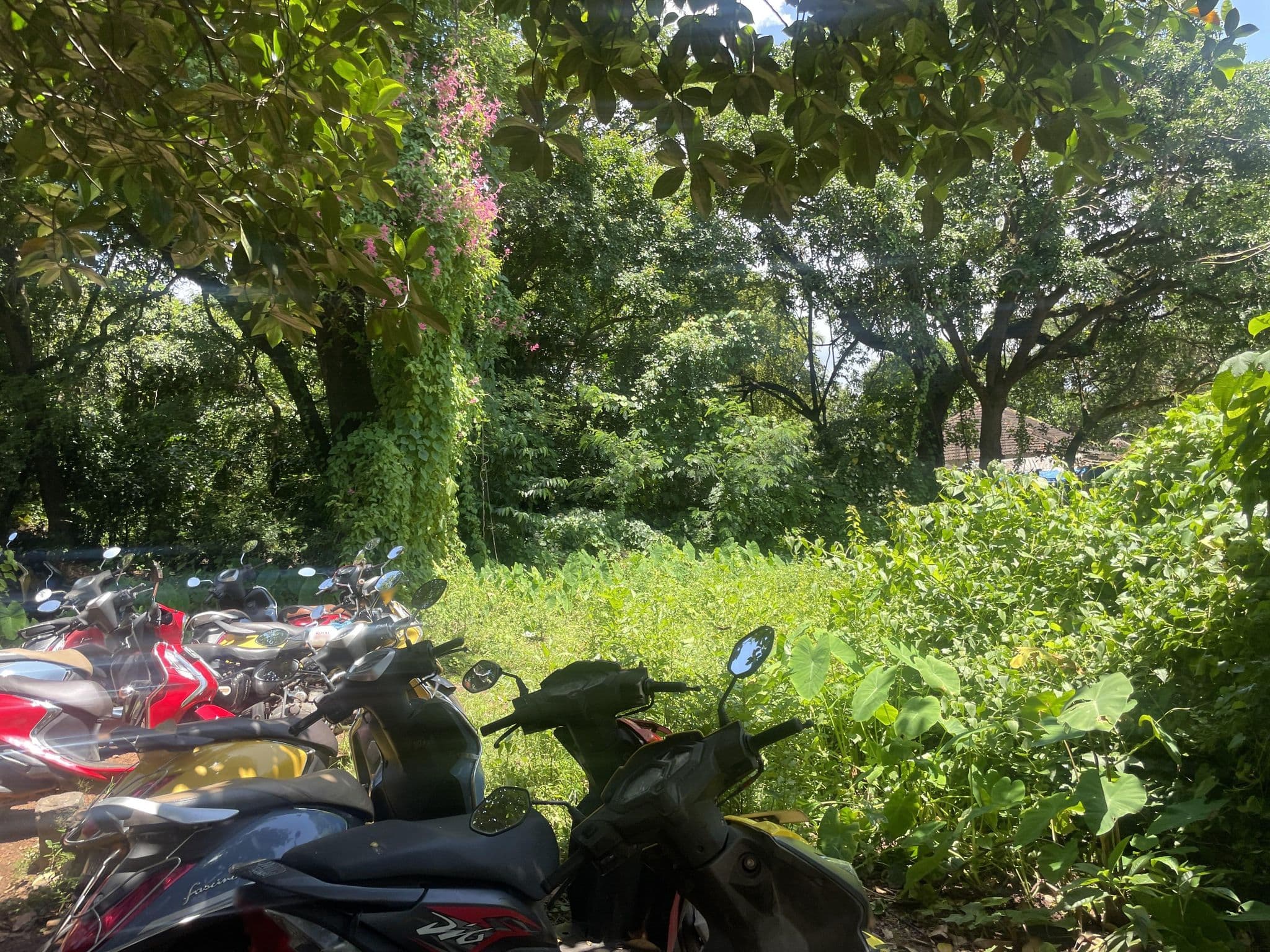 Street view near ForestTree Hostel, Anjuna — © marlonrodrigues (CC BY-SA · Mapillary)