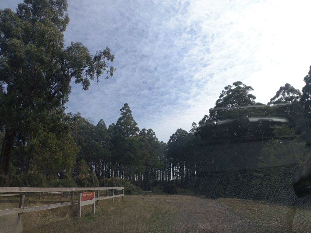 Street view near Monda Horseyards, Healesville — © mander (CC BY-SA · Mapillary)