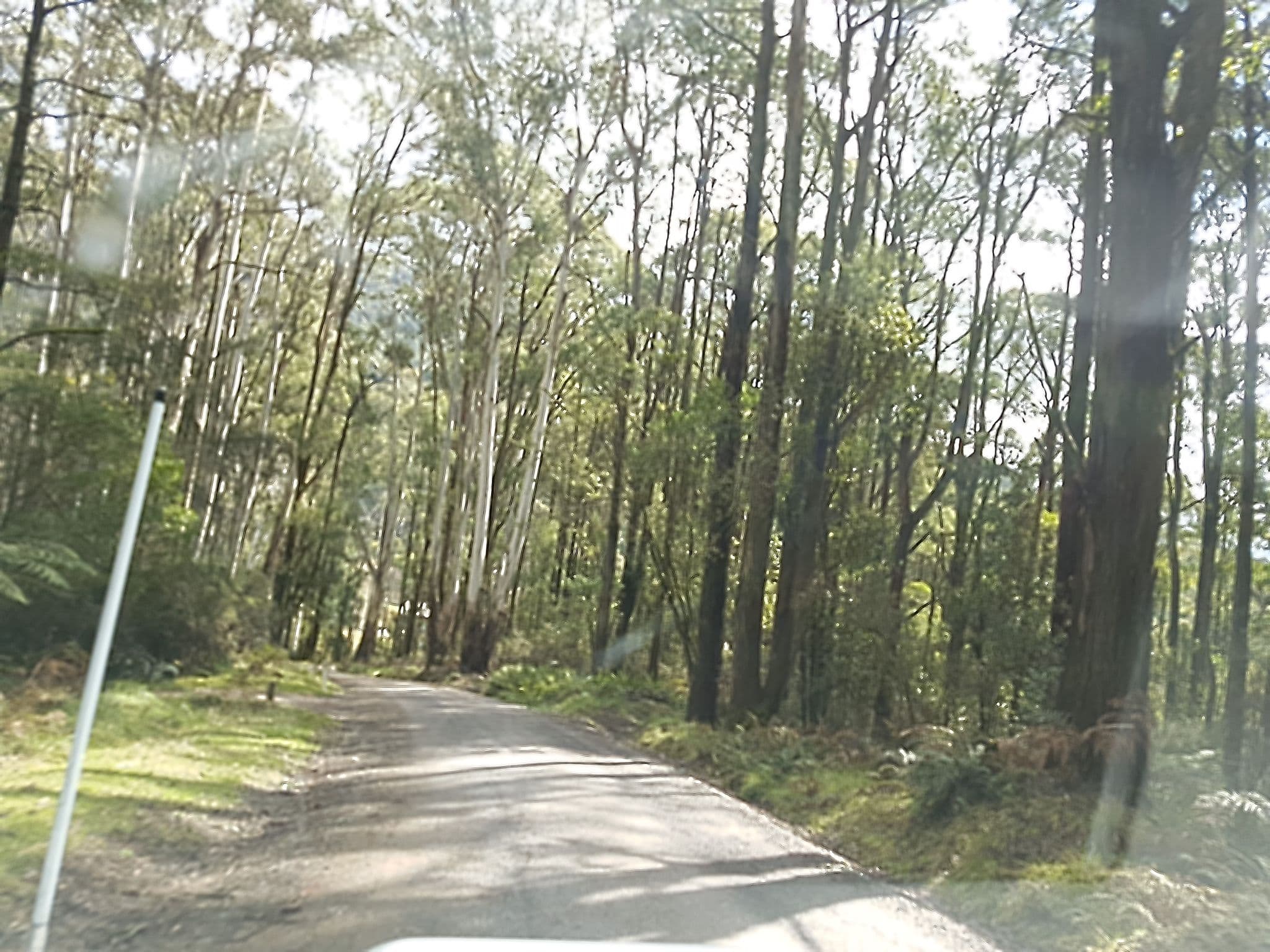 Street view near Rubicon Camping Area, Alexandra — © stev391 (CC BY-SA · Mapillary)