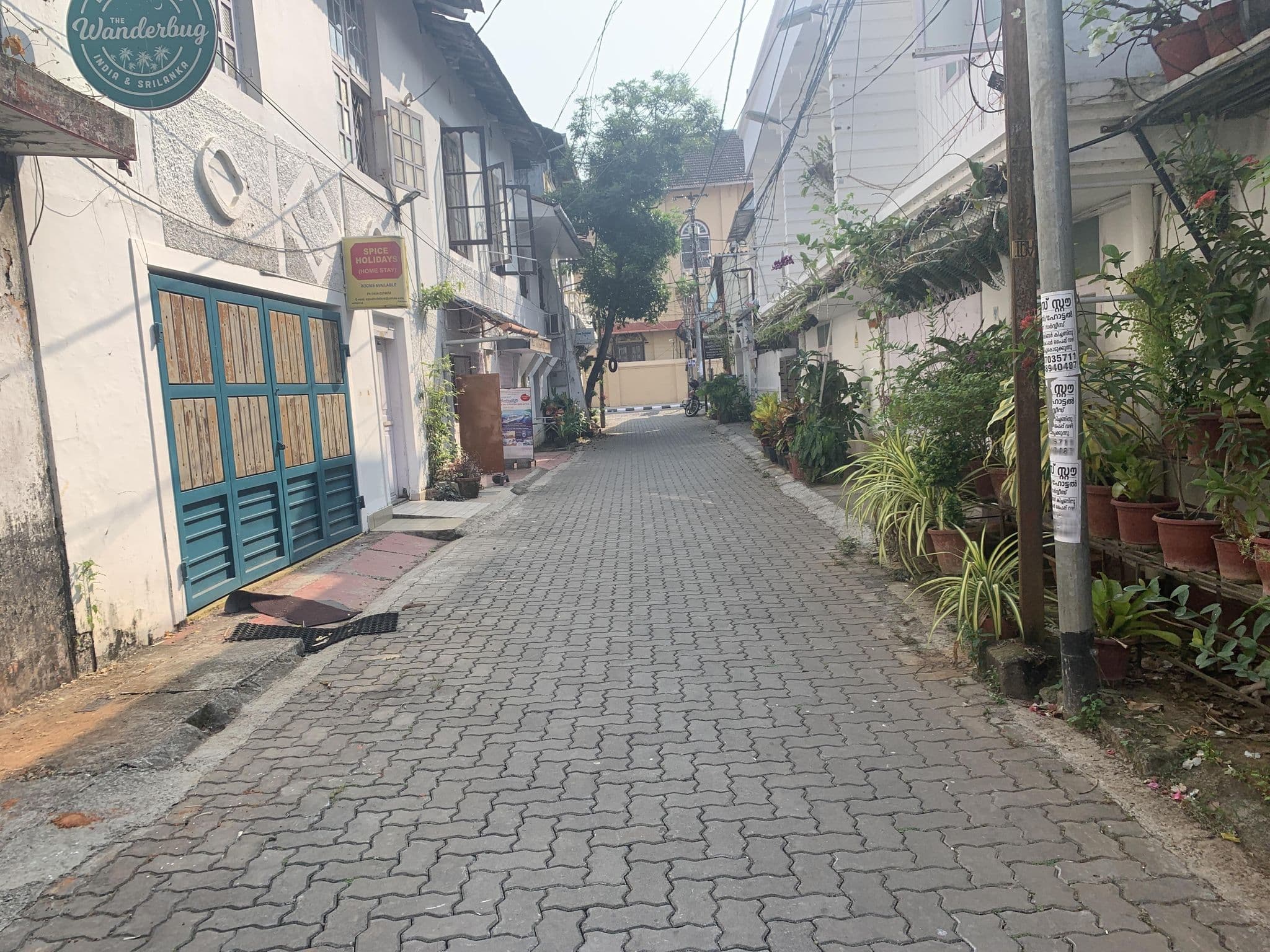 Street view near Mother Tree, Vypīn — © belsumner (CC BY-SA · Mapillary)