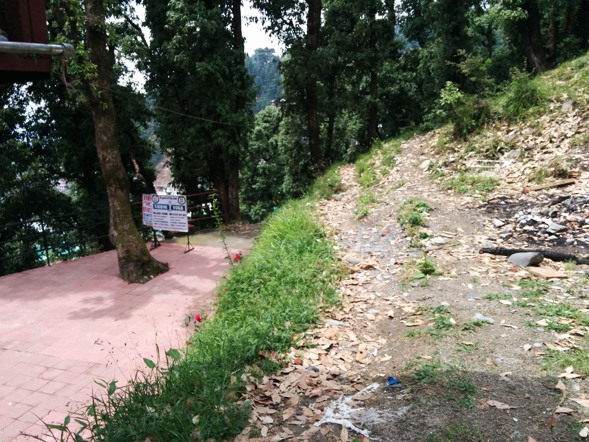 Street view near Chinmay Guest House, Dharamsala