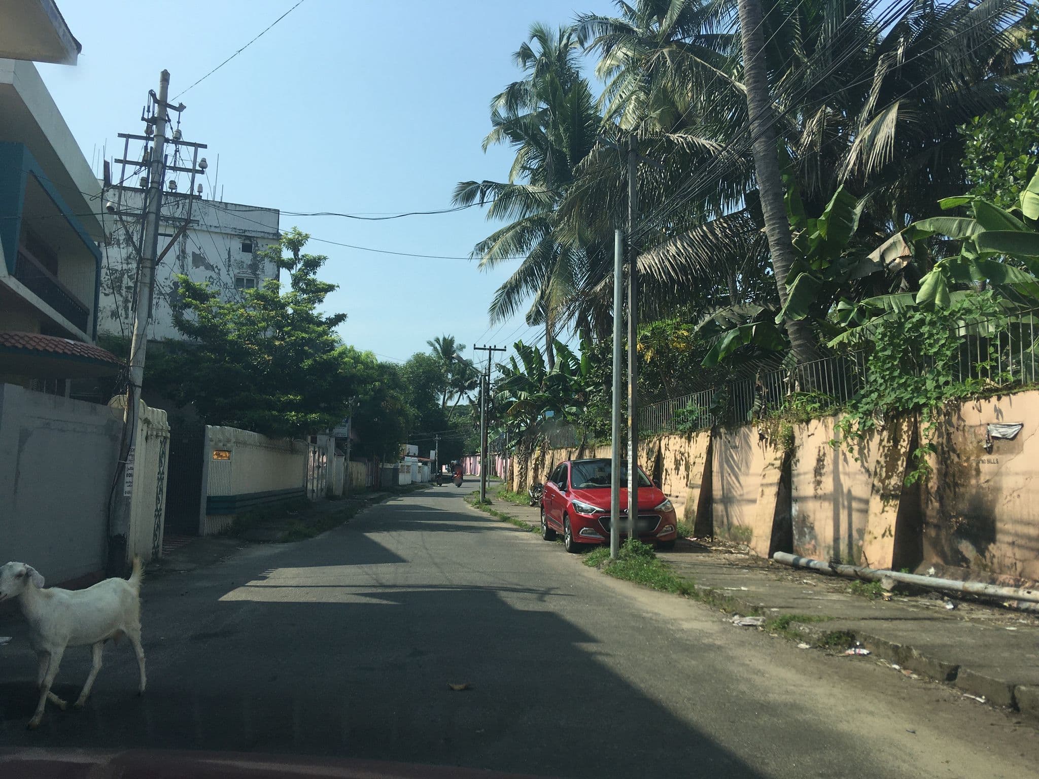 Street view near Anna Maria Residency Homestay, Vypīn — © livableurbanism (CC BY-SA · Mapillary)