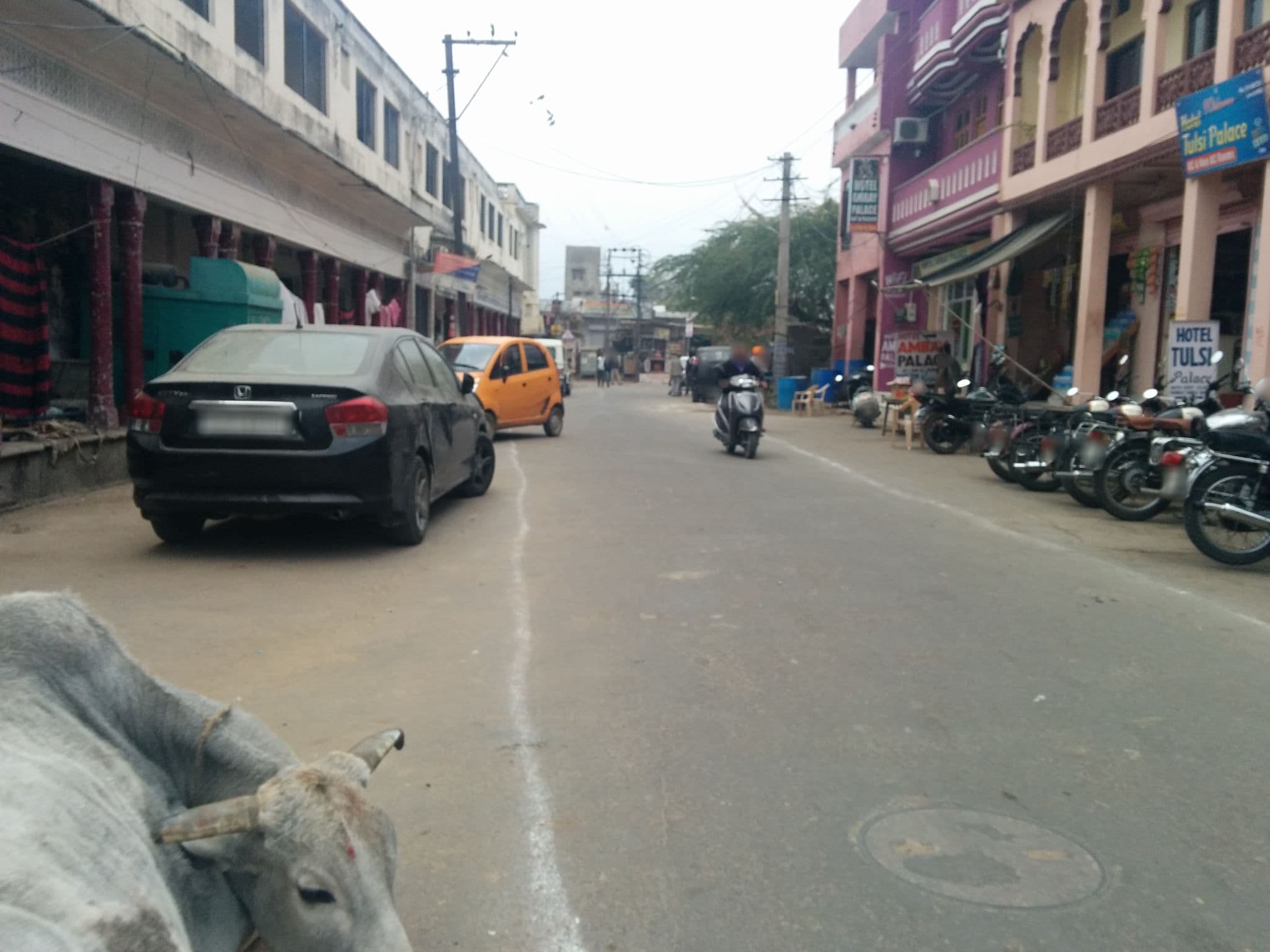 Street view near Hotel GP Palace, Pushkar — © sashazykov (CC BY-SA · Mapillary)