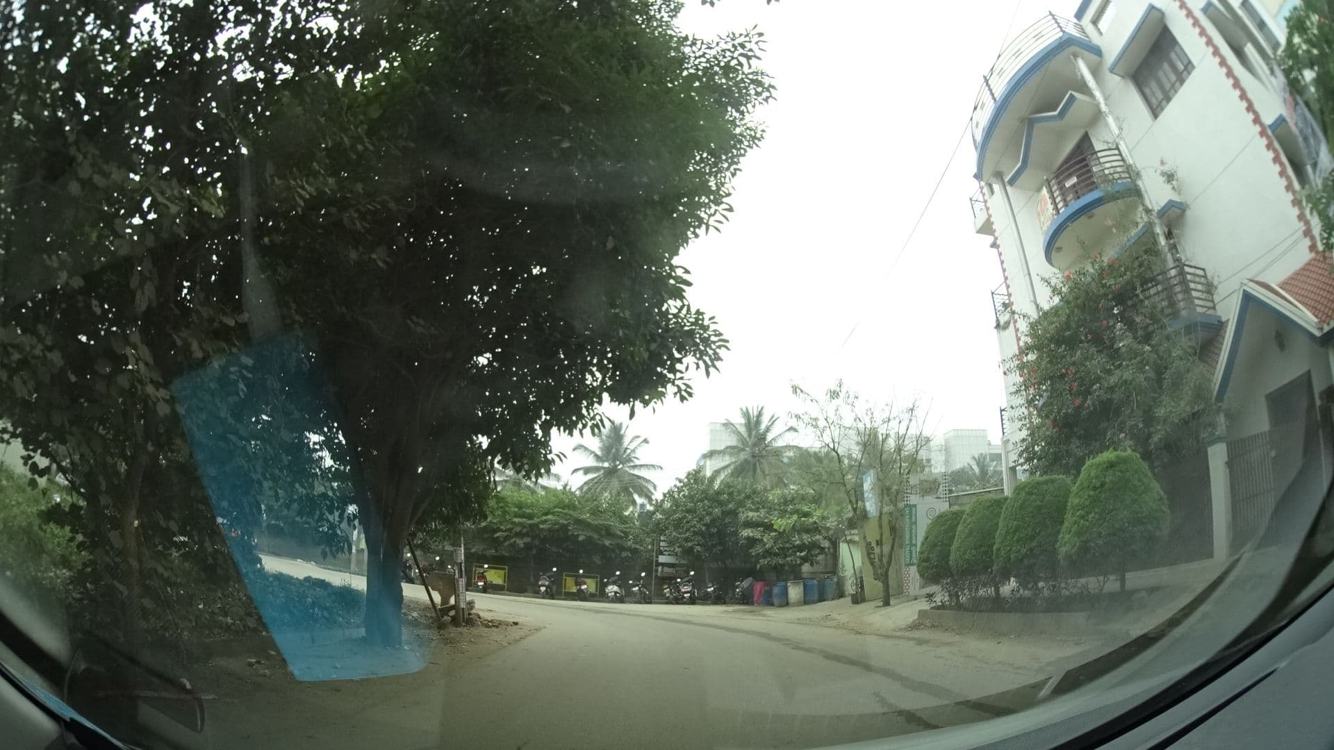 Street view near Chestnut & Cane, Dommasandra