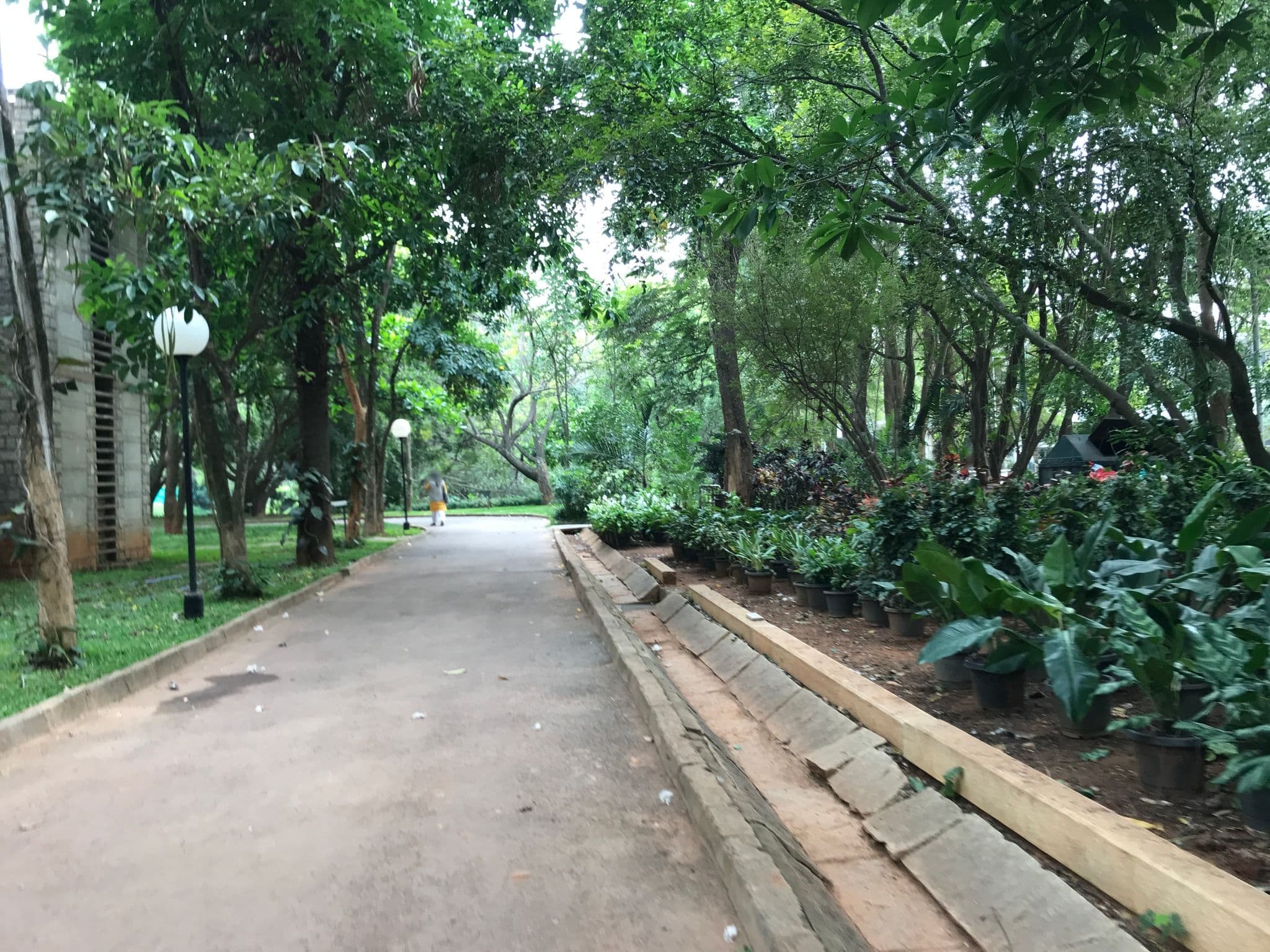 Street view near Parijata, Yelahanka — © miguel_andrade (CC BY-SA · Mapillary)