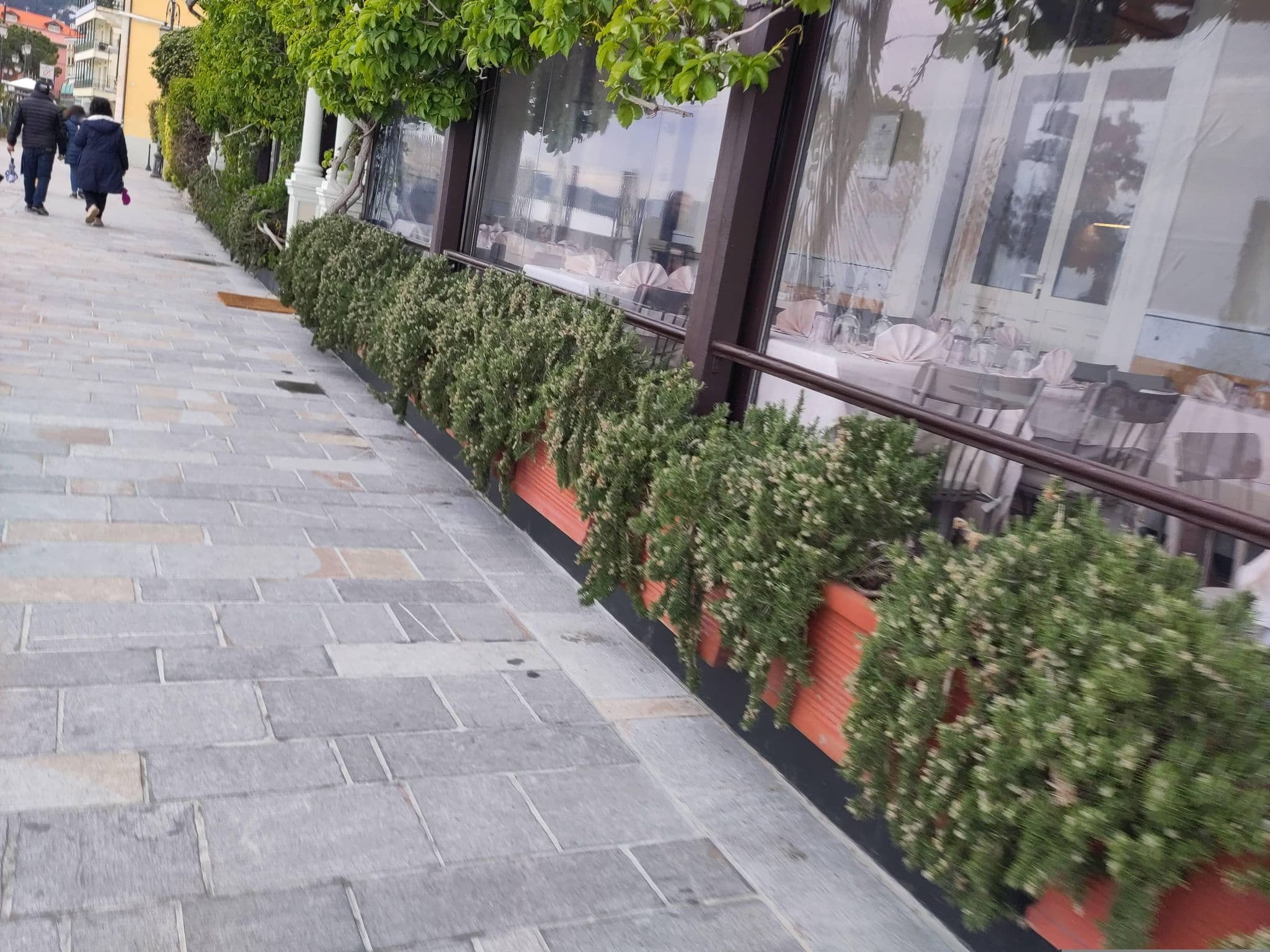 Street view near Eden, Alassio — © marcuscalabresus (CC BY-SA · Mapillary)