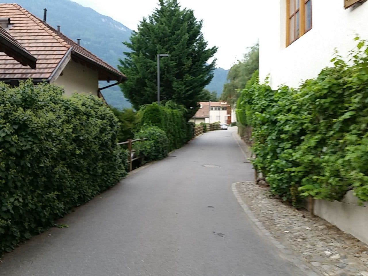 Street view near Hotel Thalguter - Zimmer + FeWo, Lagundo