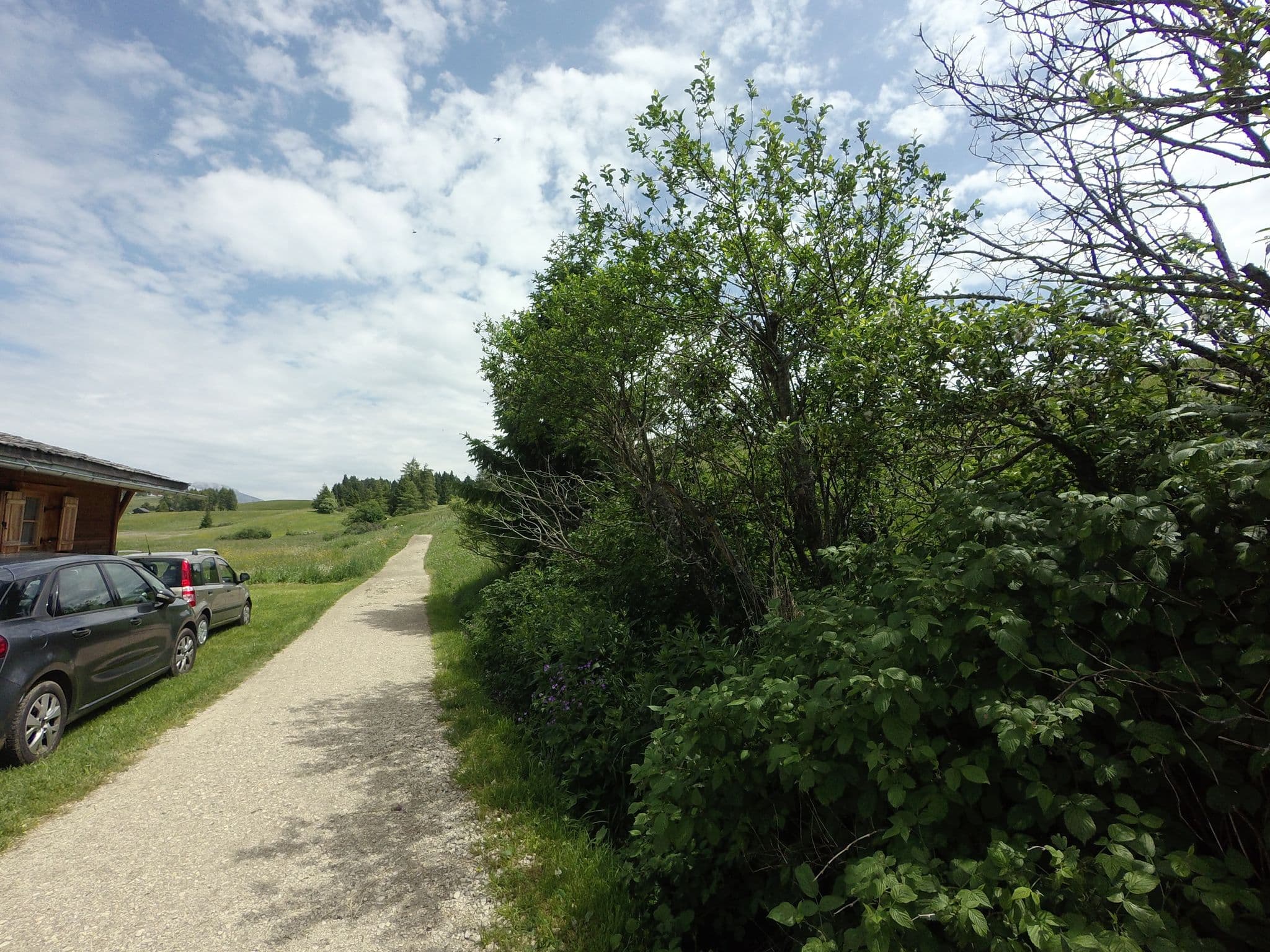 Street view near Chalet Seiser Alm, Siusi
