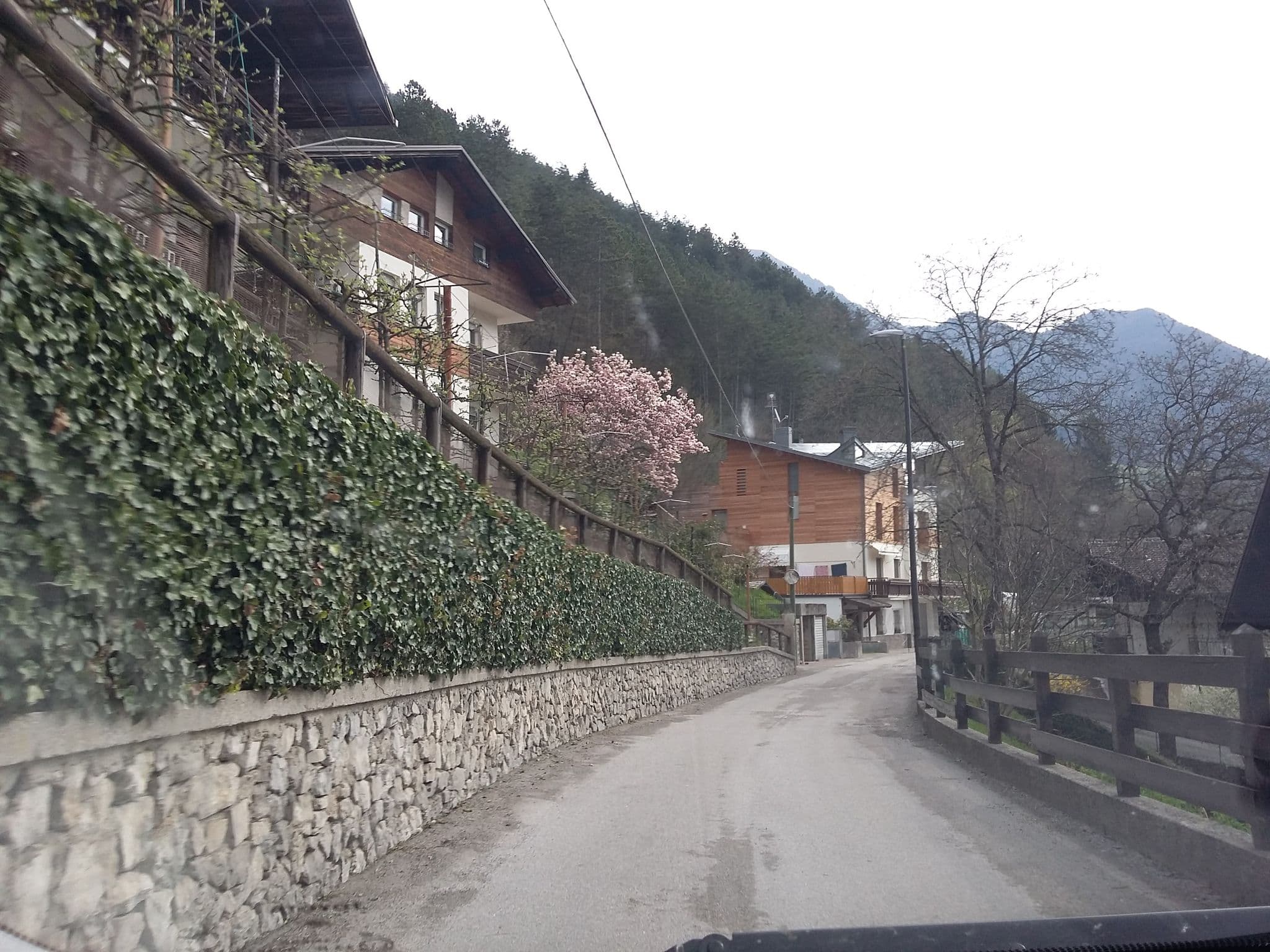 Street view near Residence Alessio, Molina di Ledro