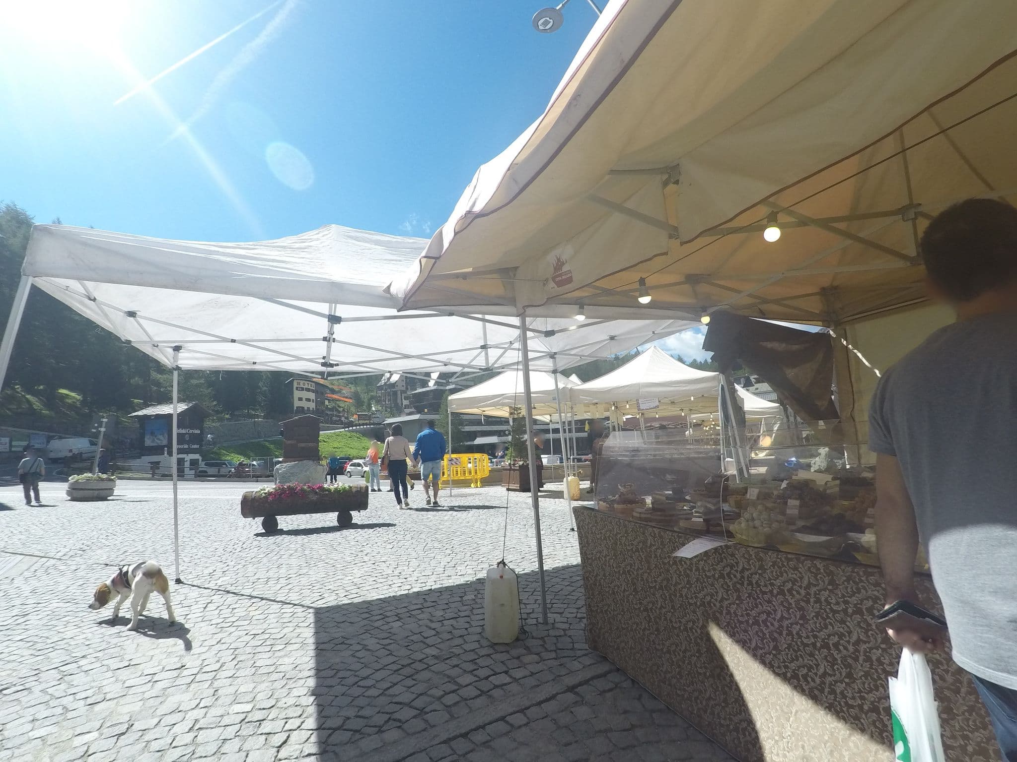 Street view near Chateau des Dames, Valtournenche — © bcostacurta (CC BY-SA · Mapillary)