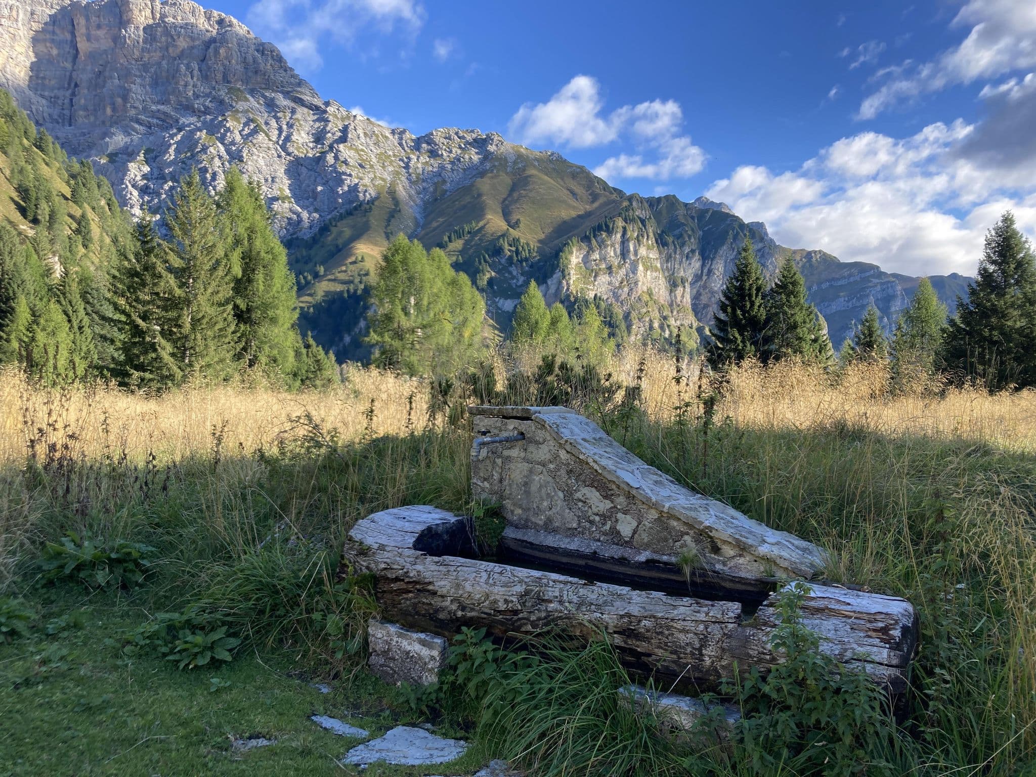 Street view near Bivacco malga Alvis, Tonadico — © morogiaco (CC BY-SA · Mapillary)