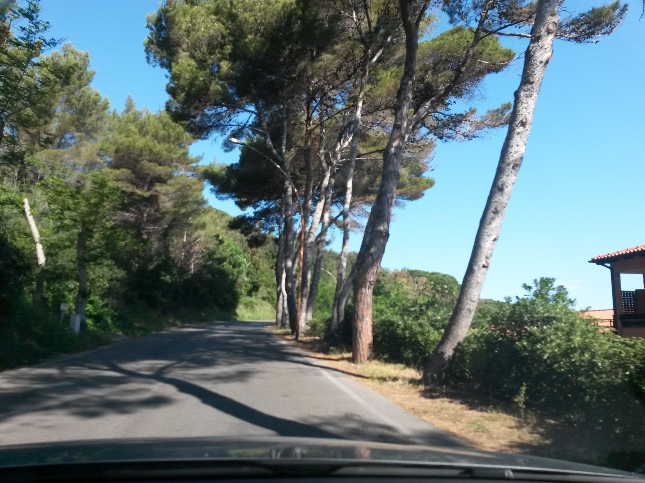 Street view near Hotel del Golfo, Marciana Marina — © rausk (CC BY-SA · Mapillary)