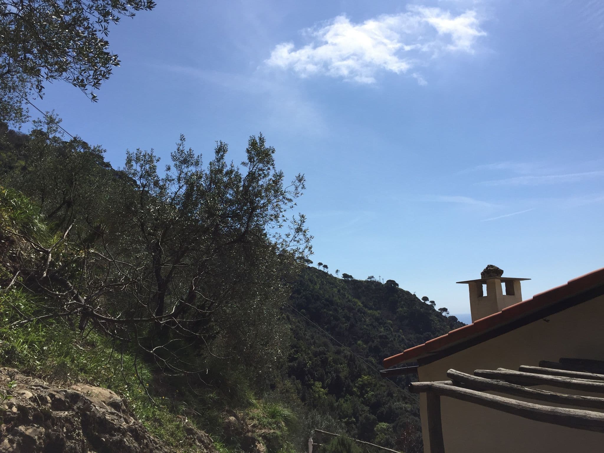 Street view near Agririfugio Molini, Santa Margherita Ligure — © poto (CC BY-SA · Mapillary)