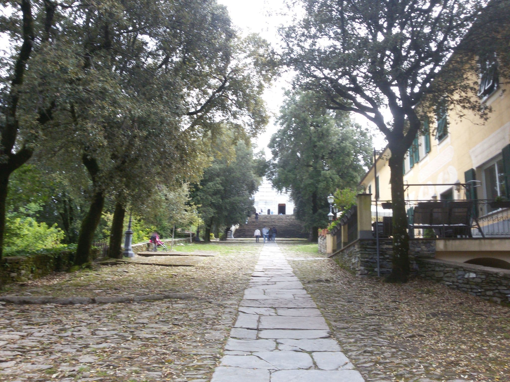 Street view near Montallegro, Rapallo — © ale_zena_it (CC BY-SA · Mapillary)