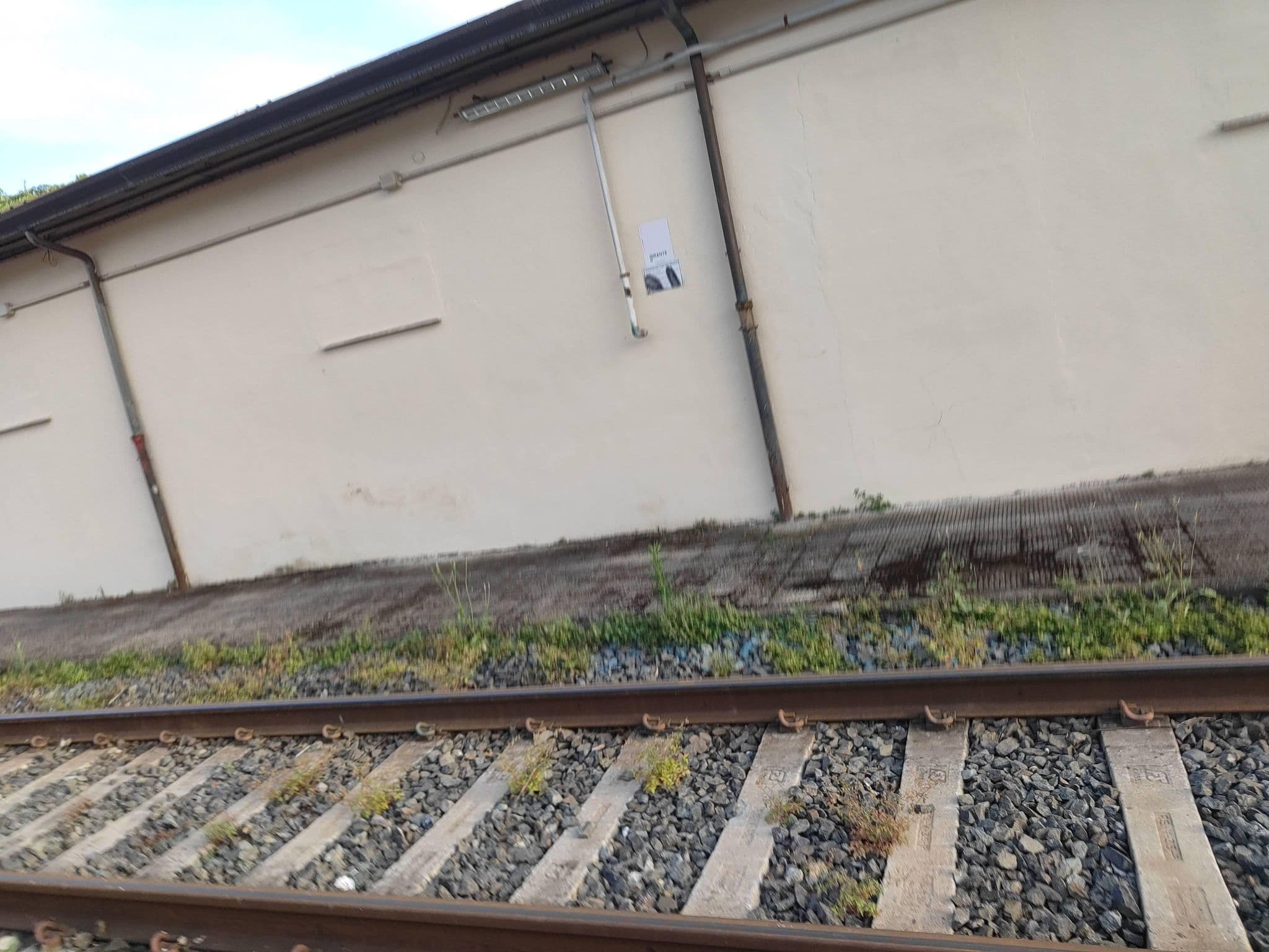 Street view near Affittacamere Casa Danè, La Spezia — © omfg_notpr (CC BY-SA · Mapillary)