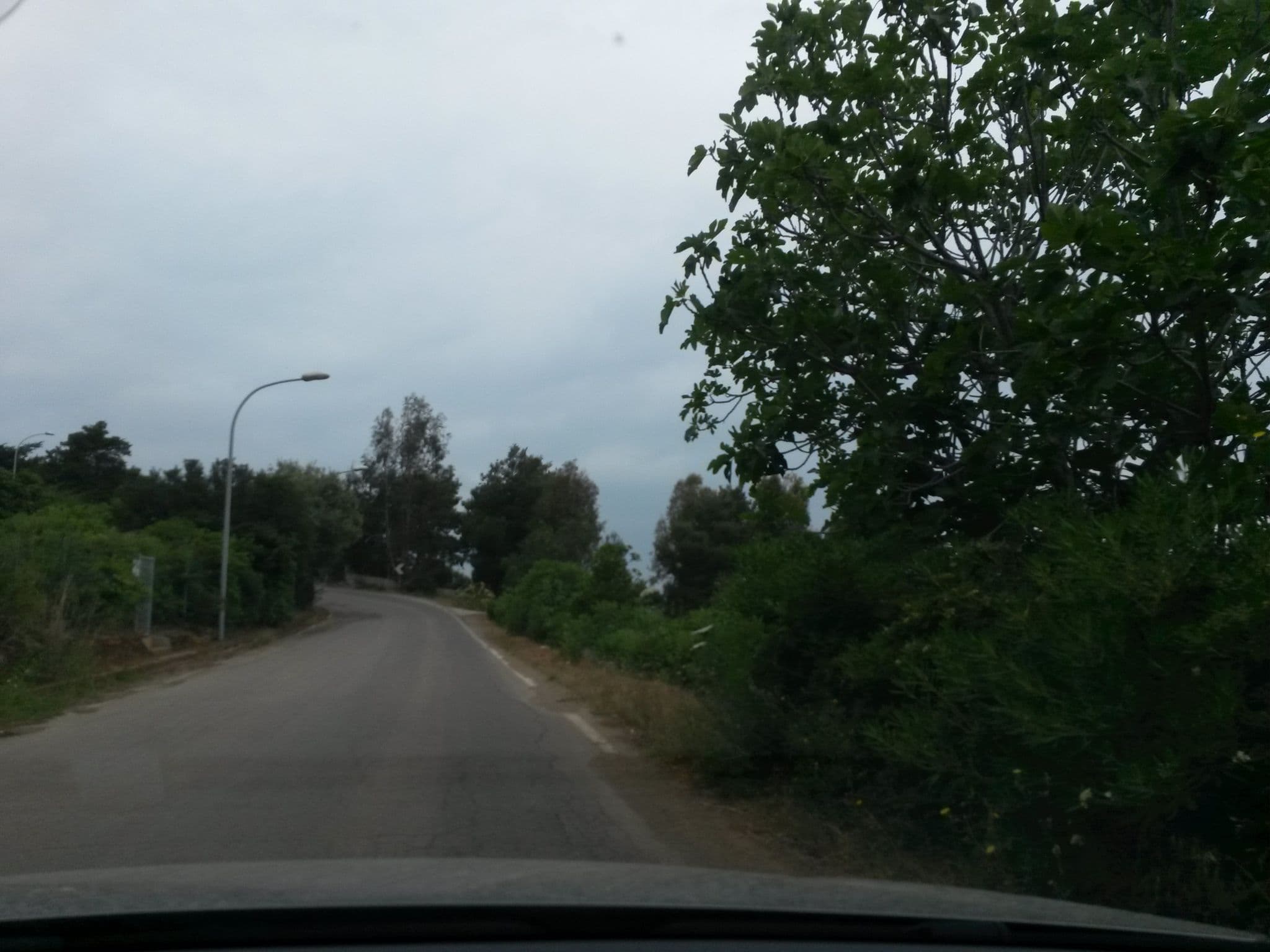 Street view near Villa Pareti, Capoliveri — © rausk (CC BY-SA · Mapillary)