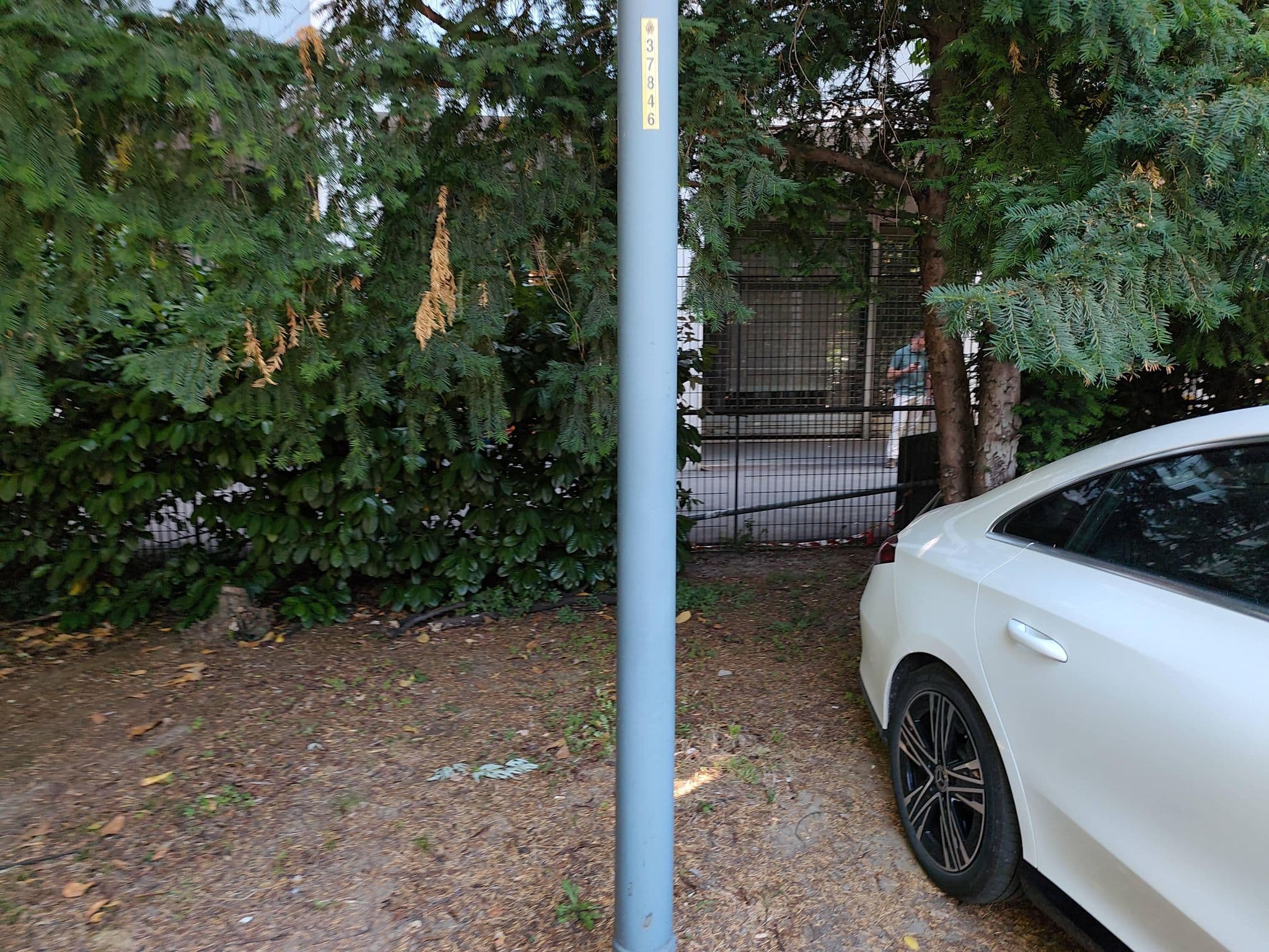 Street view near CVB :: Cairoli, Bologna