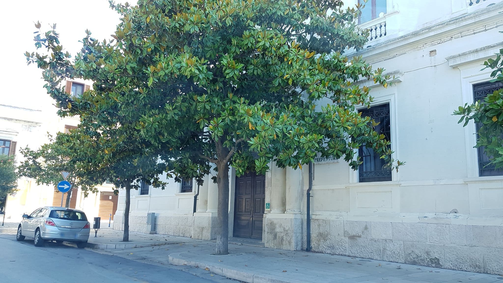 Street view near Puntamare, Brindisi — © ale_zena_it (CC BY-SA · Mapillary)
