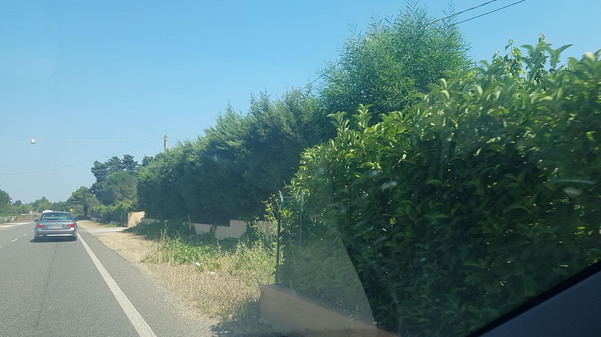 Street view near Tenuta Angelini, Otranto — © ale_zena_it (CC BY-SA · Mapillary)