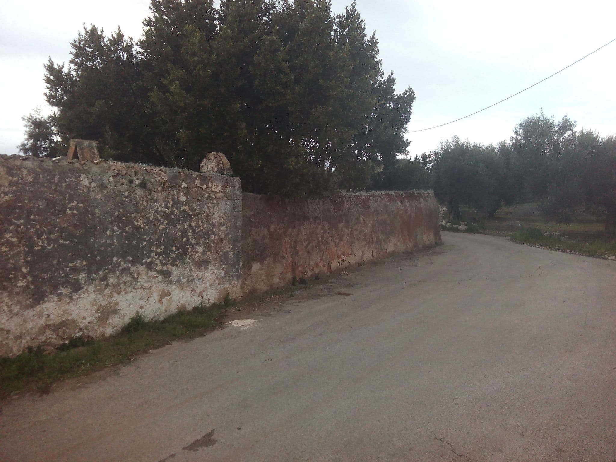 Street view near Badia Del Casale Resort, Torre San Giovanni — © primax61 (CC BY-SA · Mapillary)