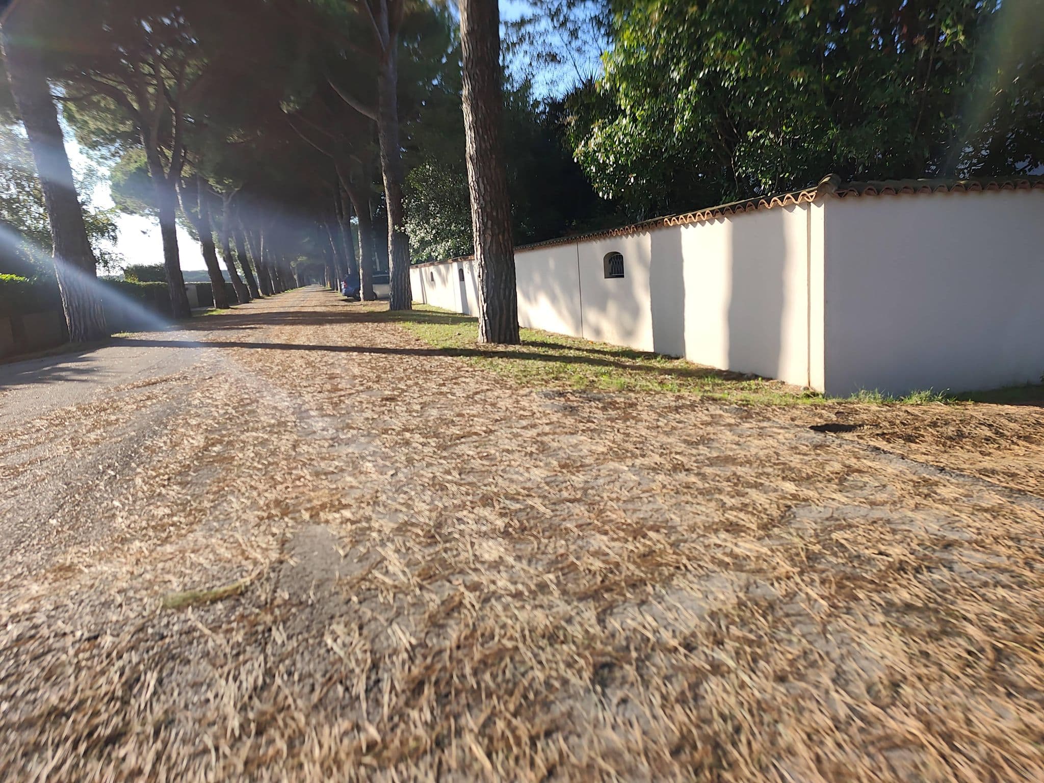 Street view near Ca' del Faro, Bibione