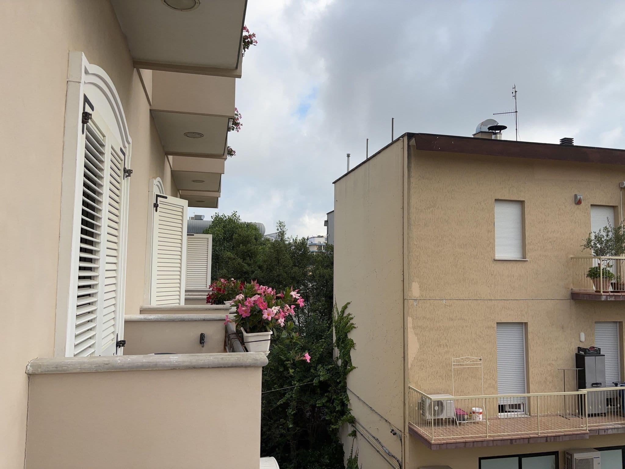 Street view near King, Rimini