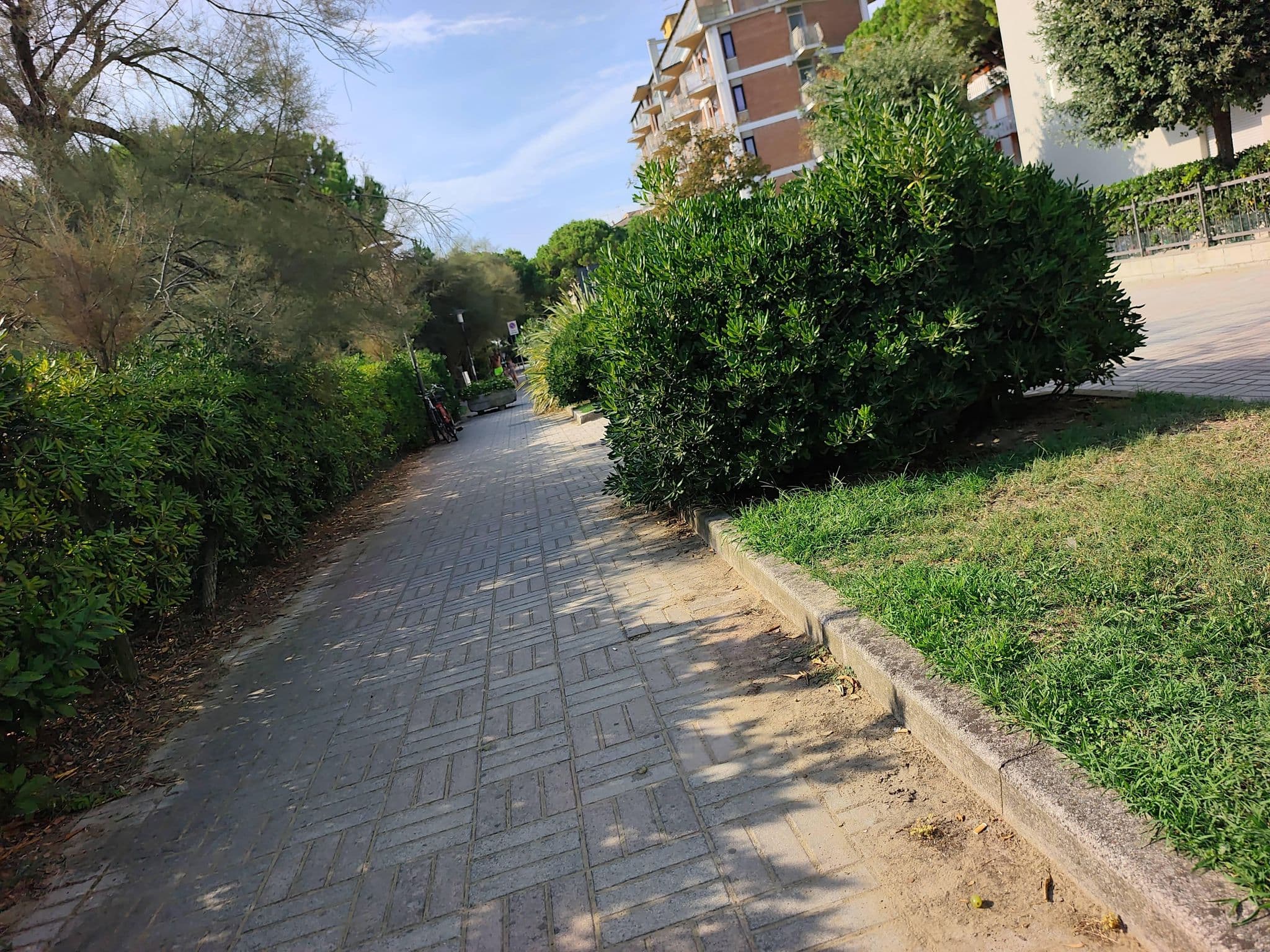 Street view near Byron, Lido di Jesolo — © Duro (CC BY-SA · Mapillary)