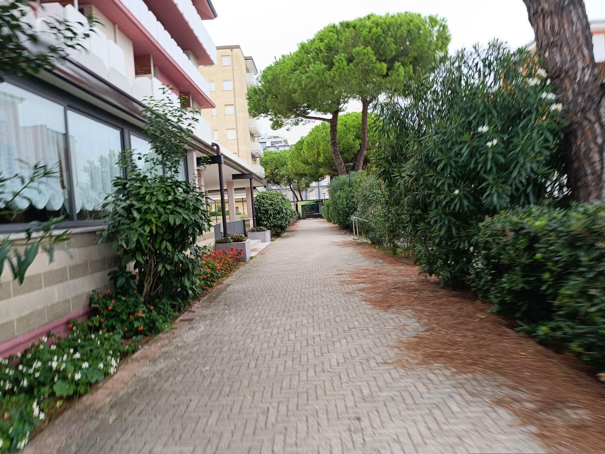 Street view near Montreal, Bibione