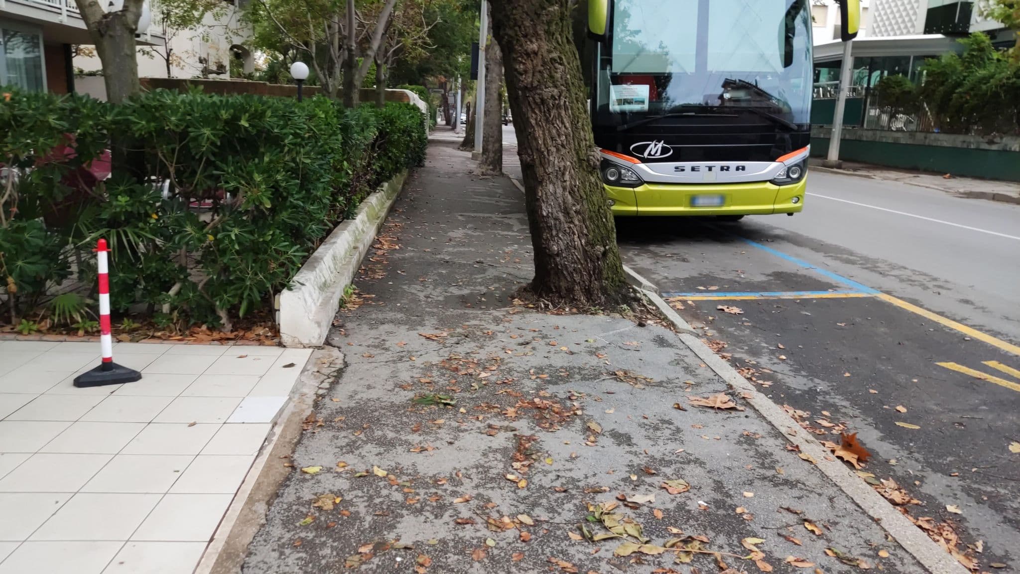 Street view near Le Terrazze, Riccione