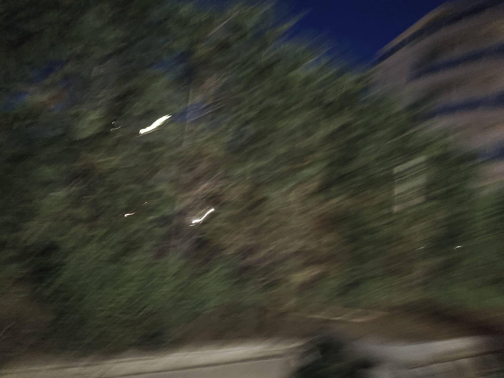 Street view near Heron, Lido di Jesolo