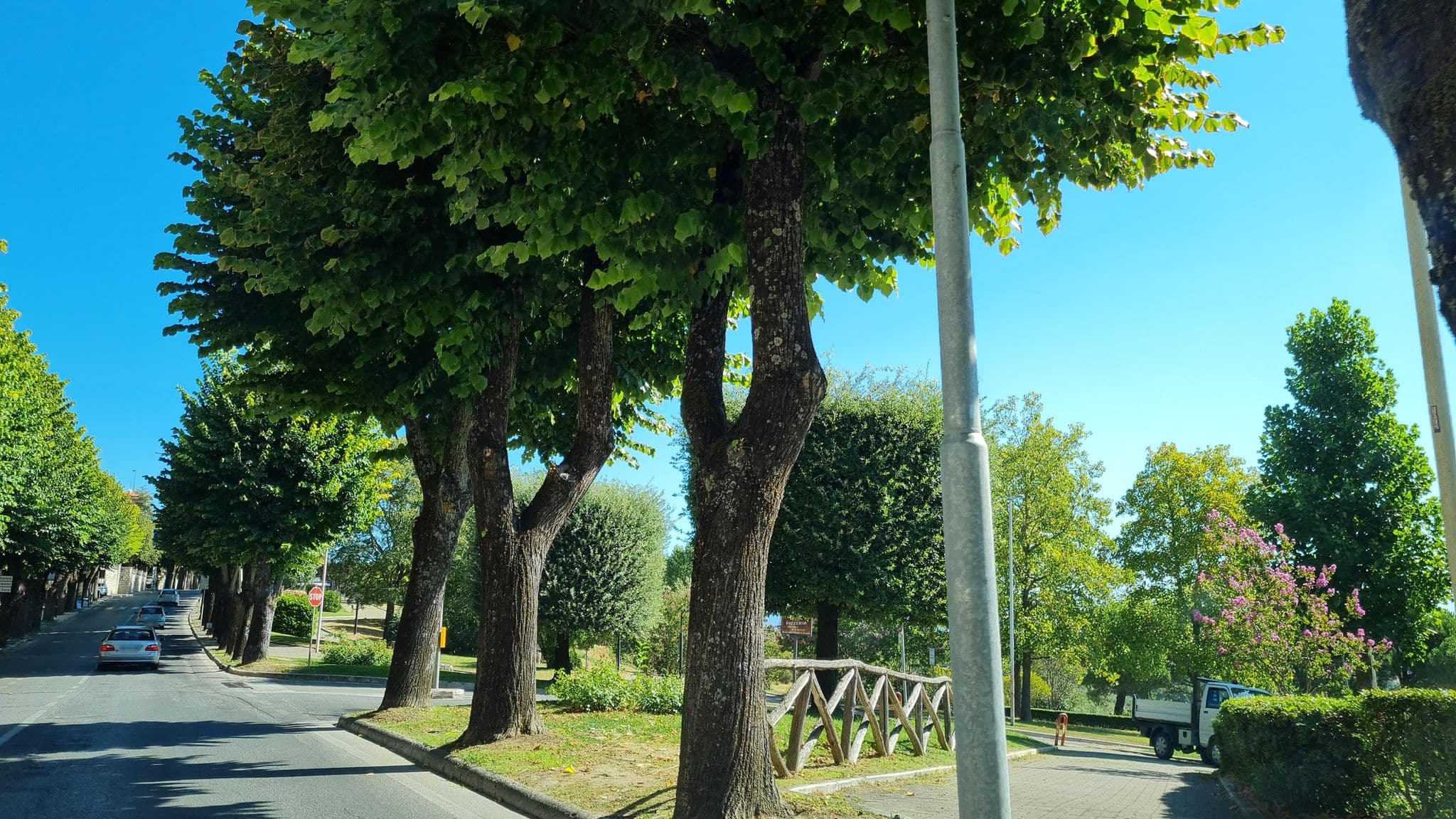 Street view near Albergo Rossana, Chianciano Terme — © laniuscollurio (CC BY-SA · Mapillary)