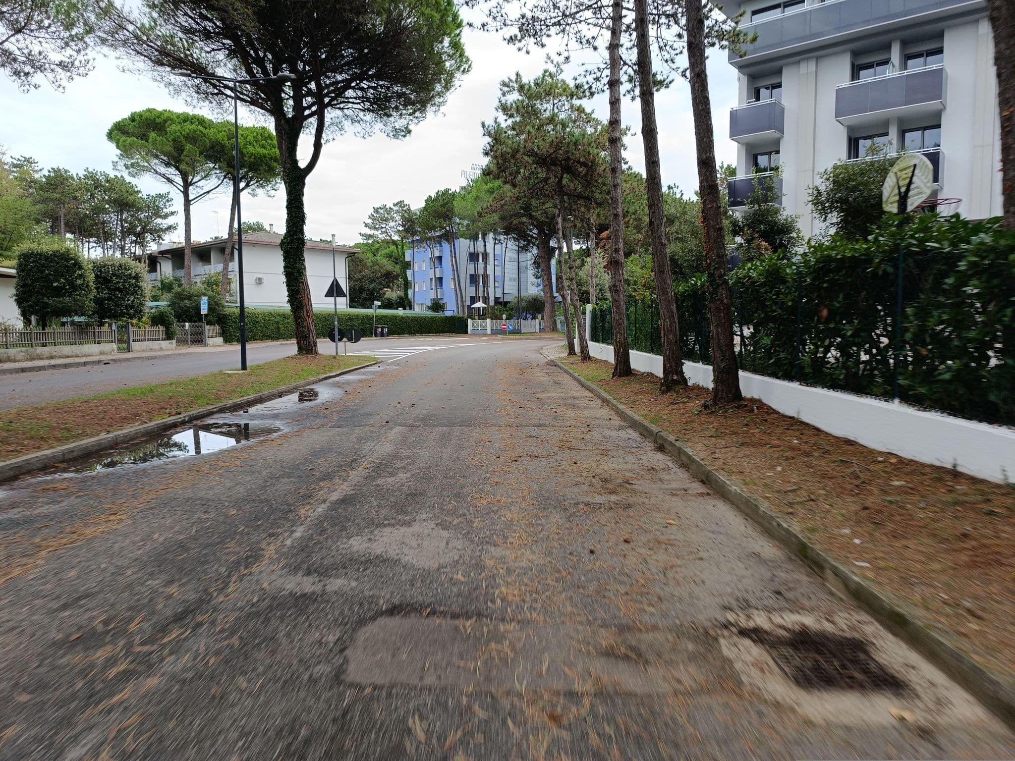 Street view near Franz, Bibione