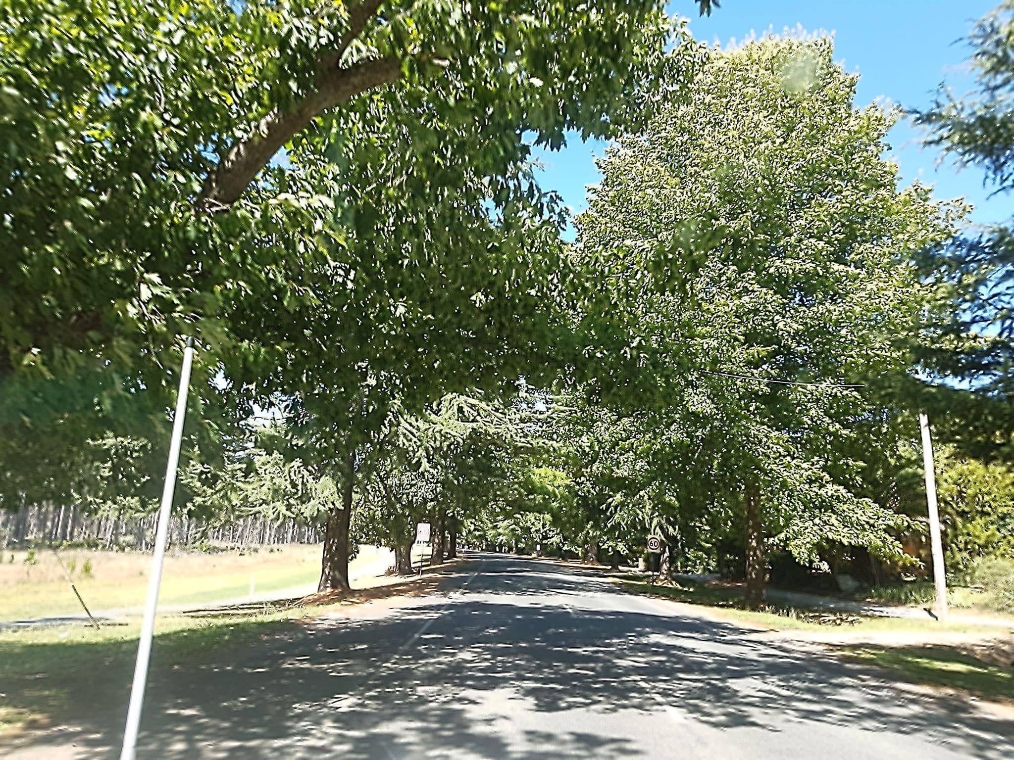 Street view near Edlin House, Bright — © stev391 (CC BY-SA · Mapillary)