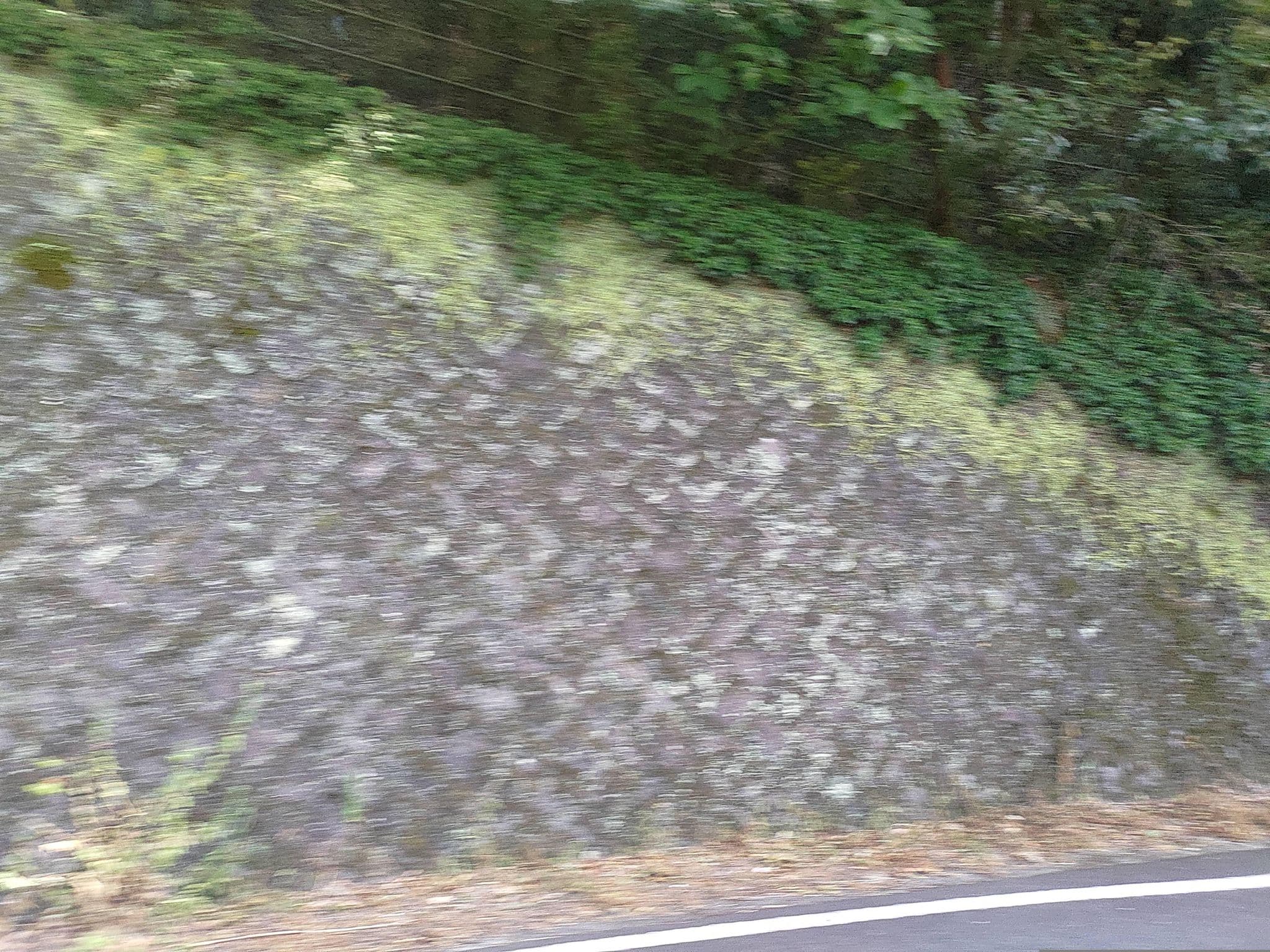 Street view near Nazuna Hakone Miyanoshita, Hakone — © ChenJJ (CC BY-SA · Mapillary)