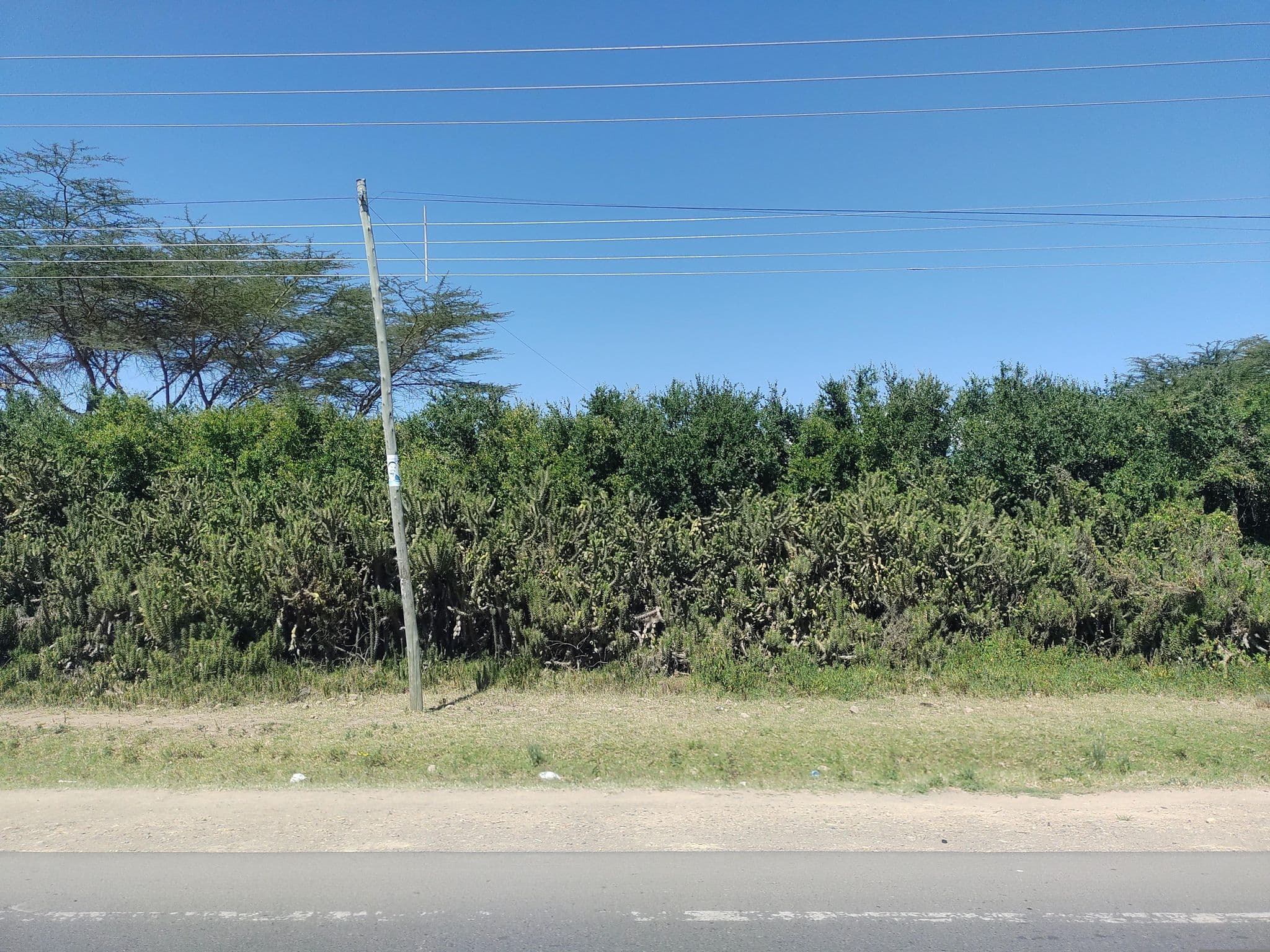 Street view near Chambai Safari, Naivasha — © mapeadora (CC BY-SA · Mapillary)
