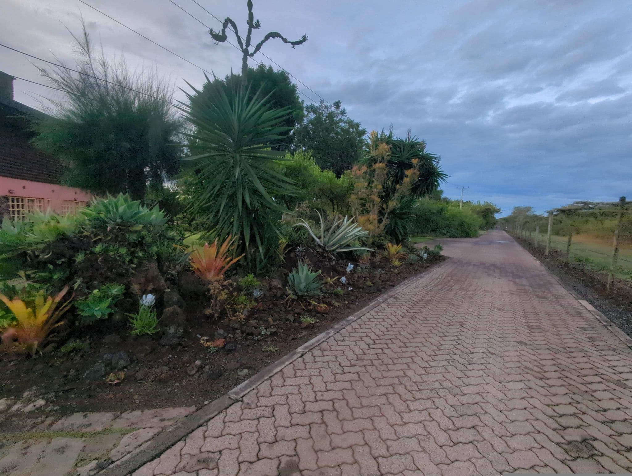 Street view near Jimana, Naivasha — © jfrek (CC BY-SA · Mapillary)