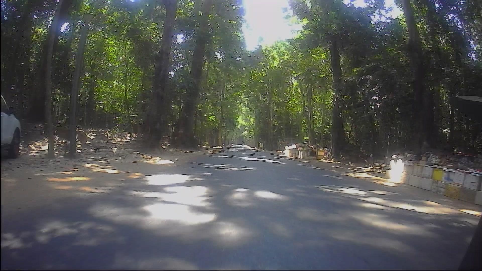 Street view near Palm Village Resort & Spa, Siem Reap