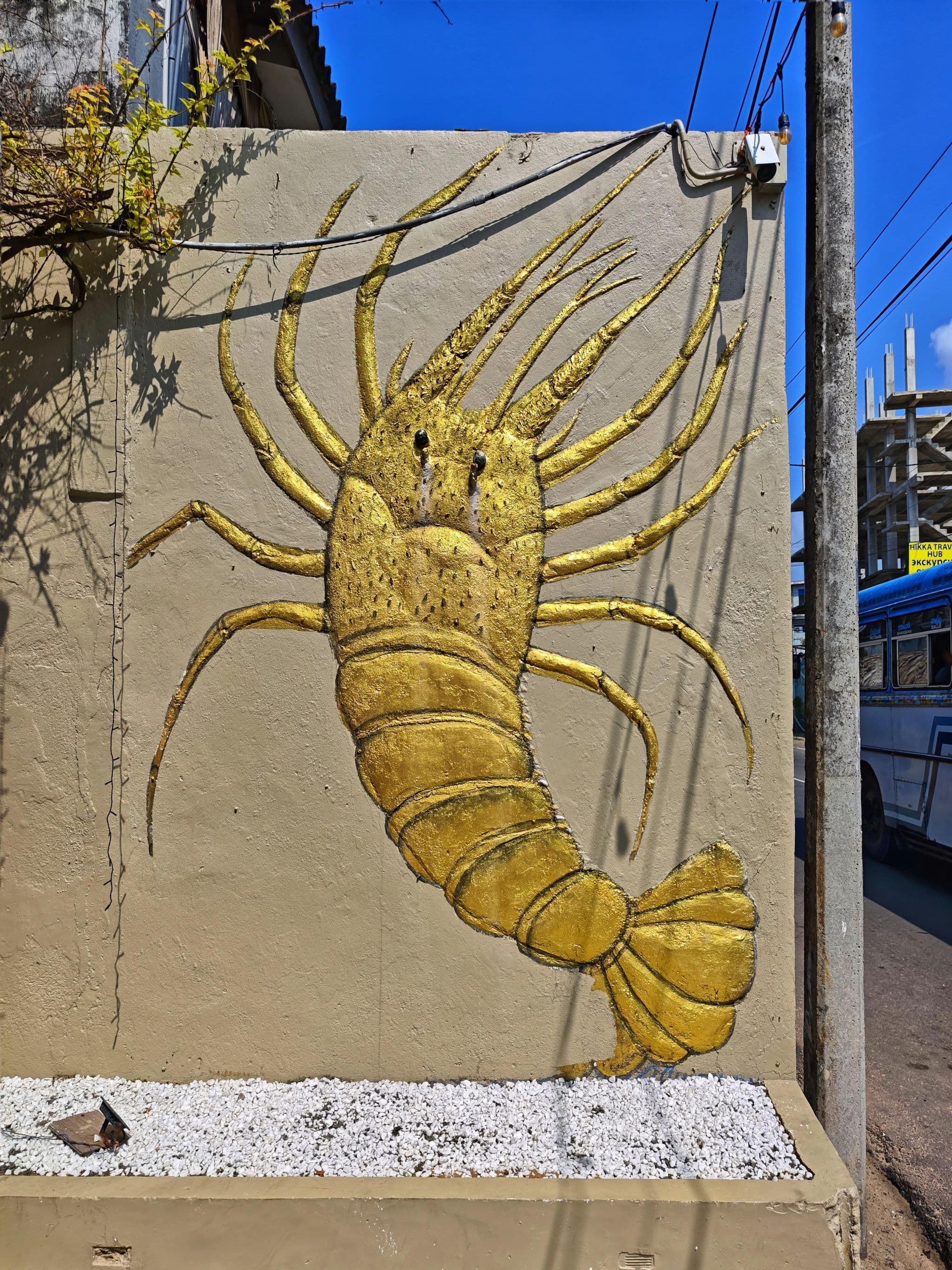 Street view near Coral Reef Beach Hotel, Hikkaduwa