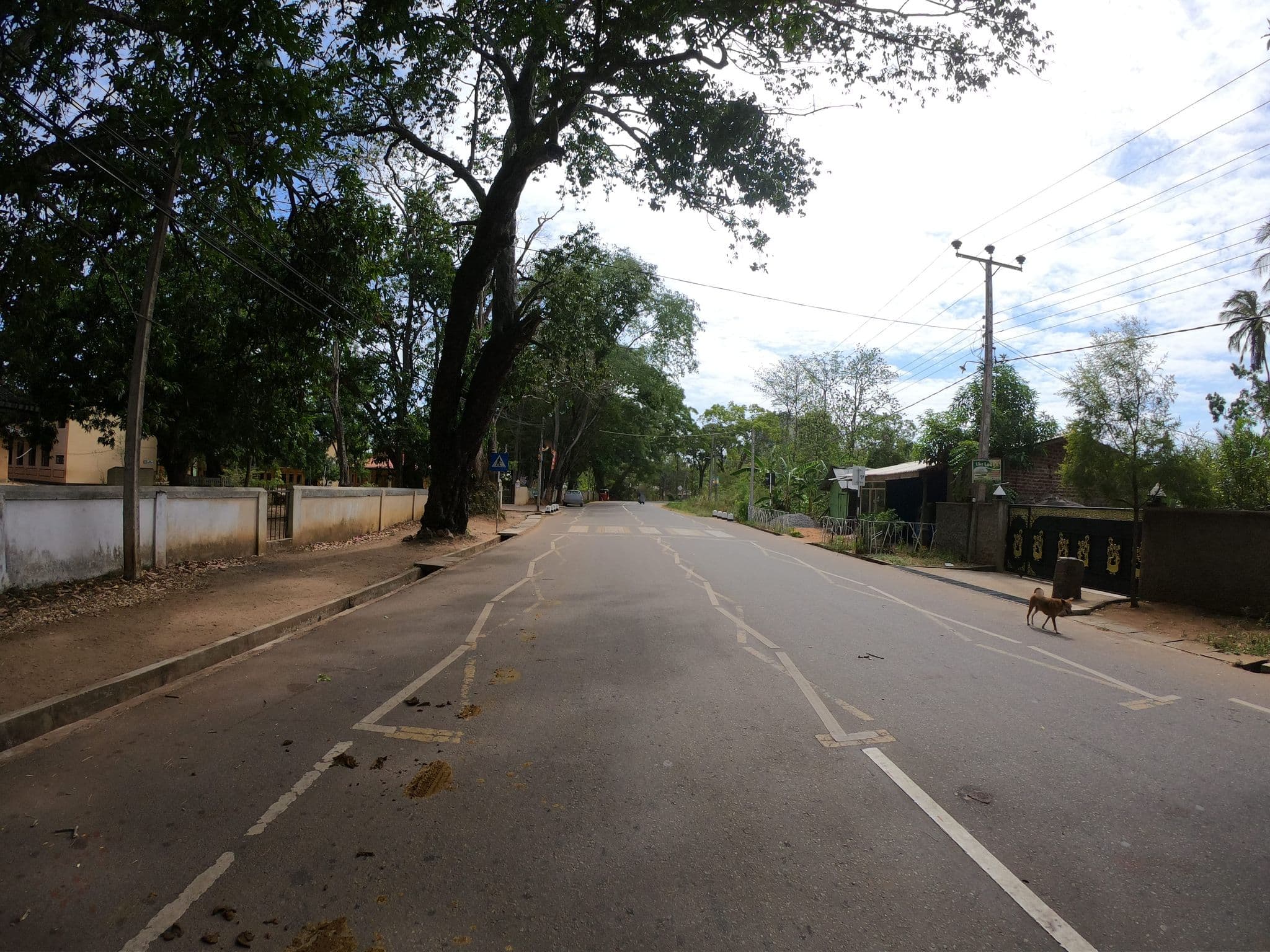 Street view near Padmini lodge & restaurant, Sigiriya