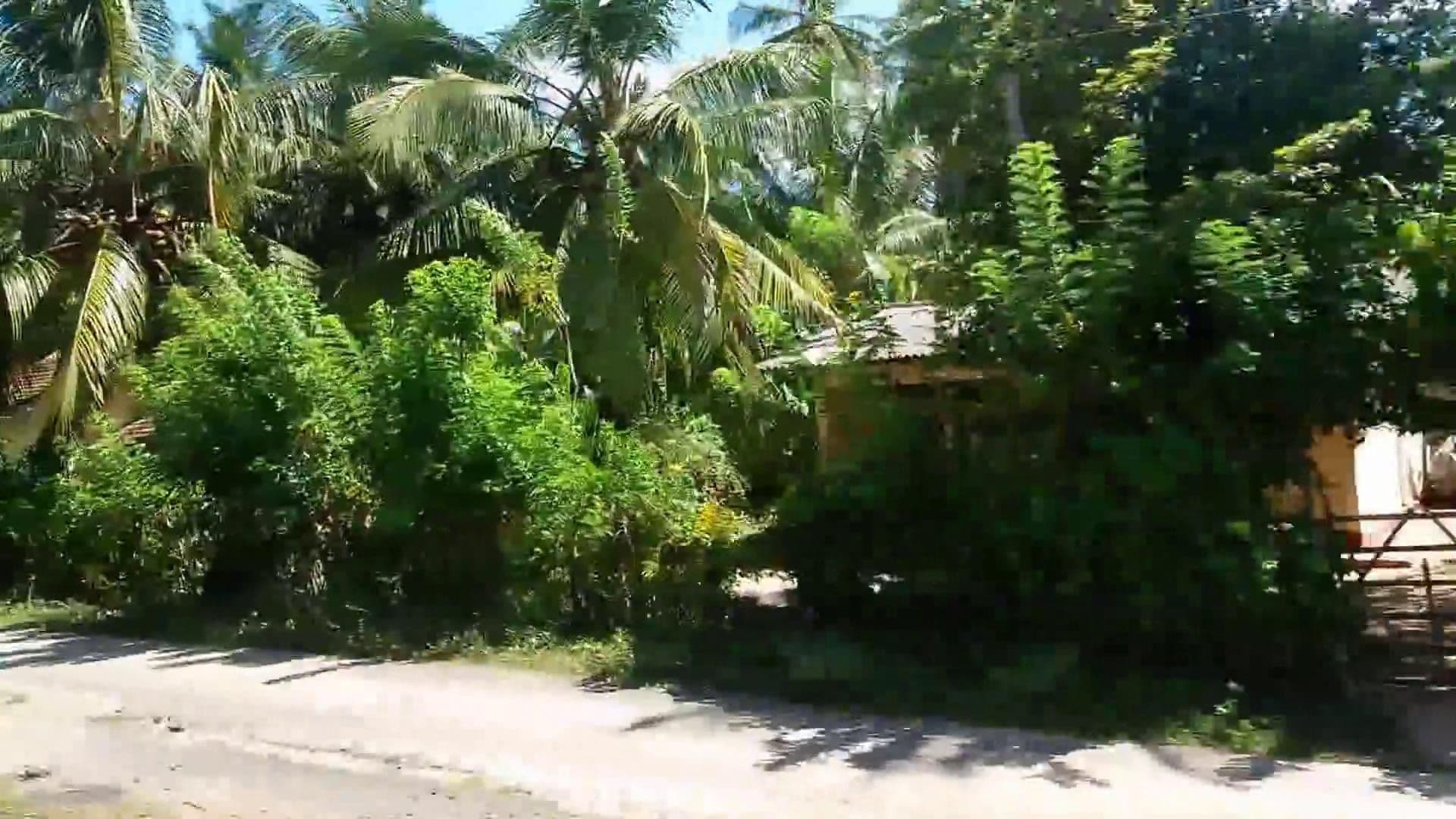 Street view near OYO 465 Hotel Bounty, Ambalangoda — © cut (CC BY-SA · Mapillary)