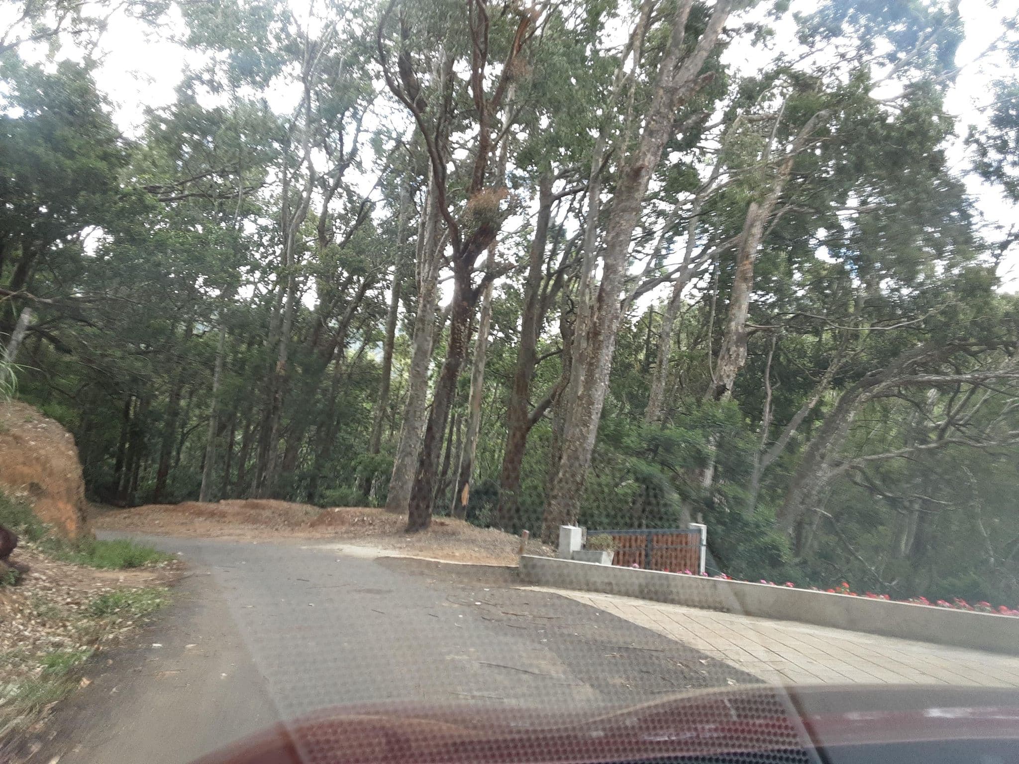 Street view near Icy Falls, Haputale — © ZihanZarouk (CC BY-SA · Mapillary)