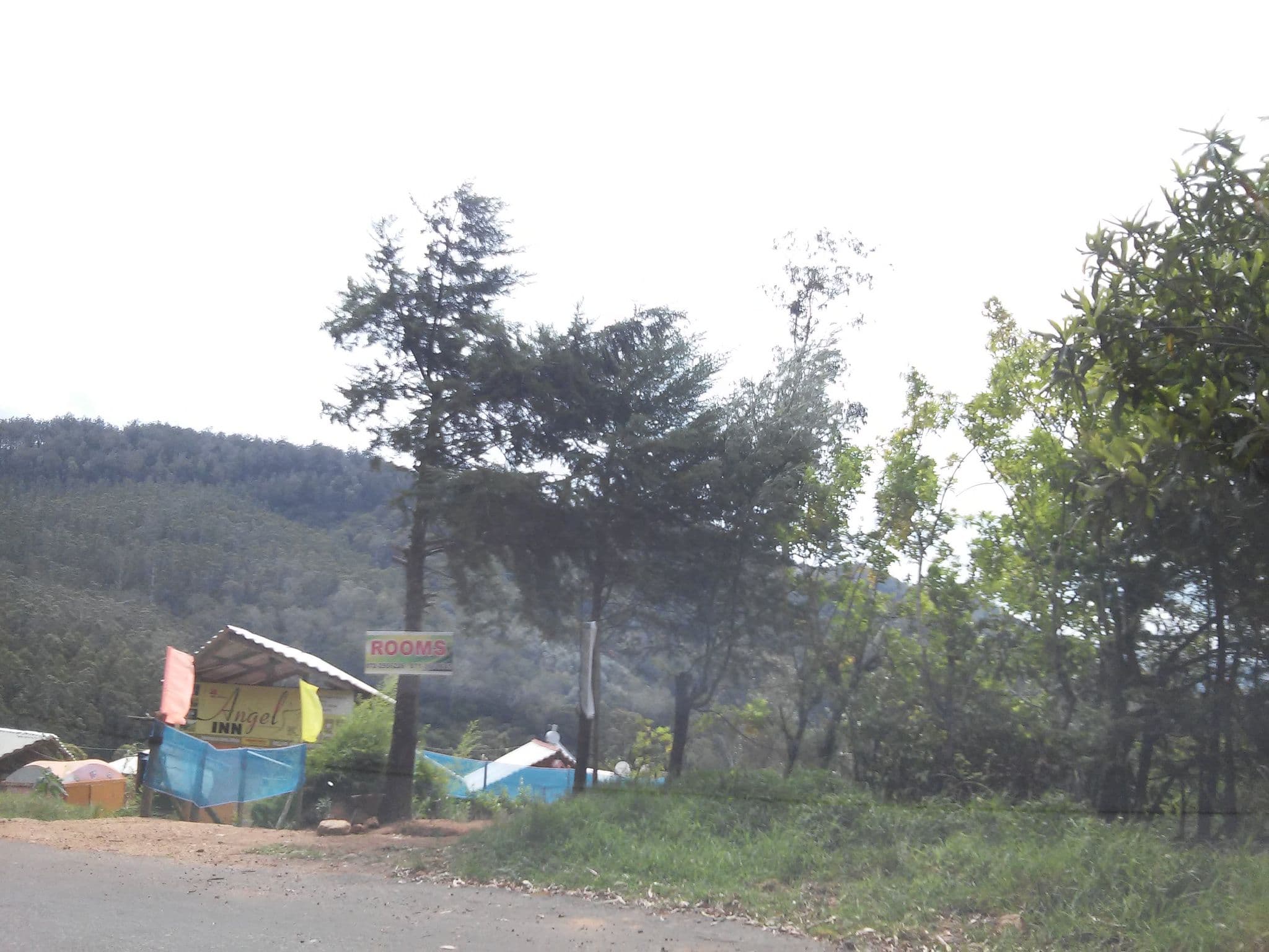 Street view near Forest Cyniciam Holiday Bangalow, Haputale — © shravan91 (CC BY-SA · Mapillary)
