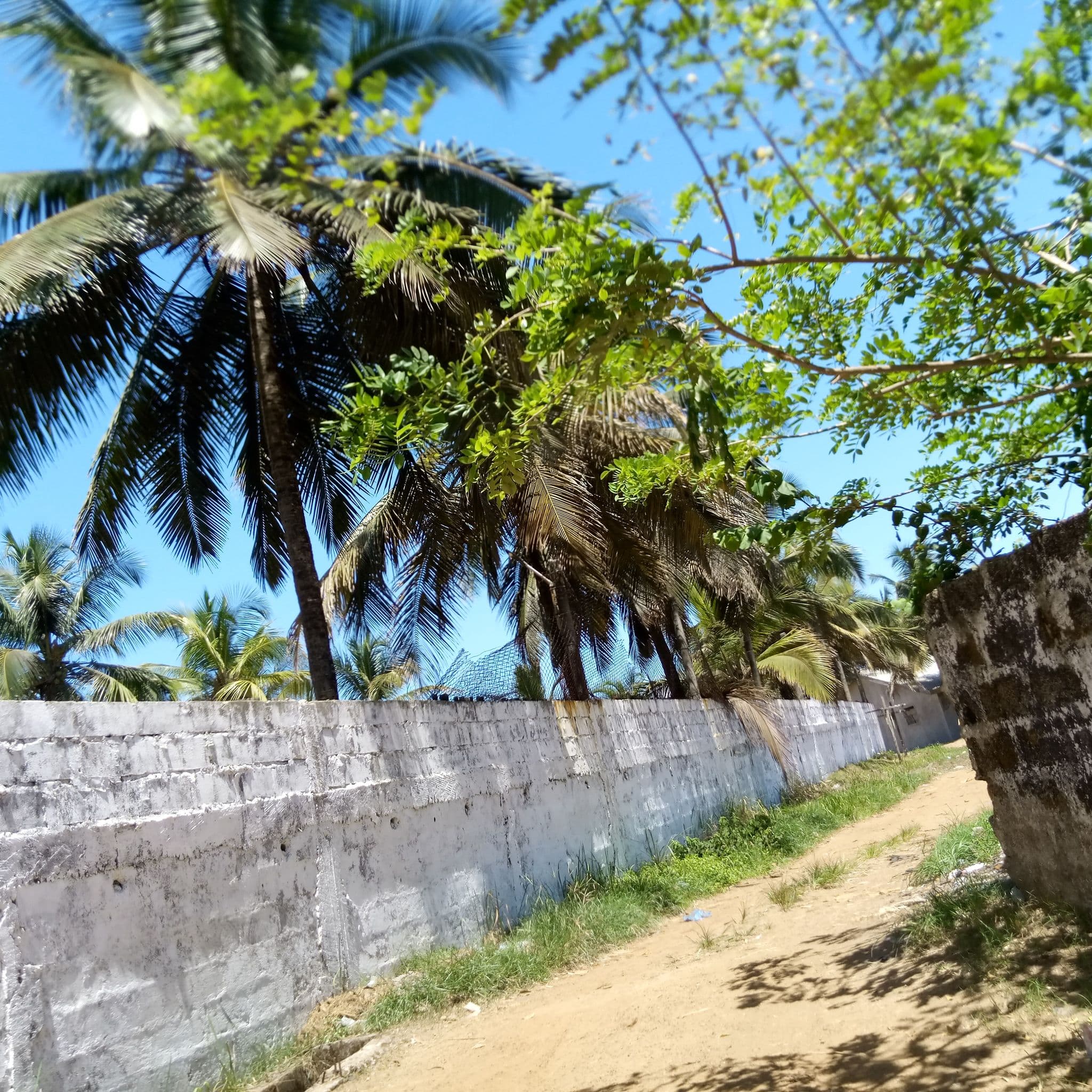 Street view near Bamboo Beach, Monrovia — © cweah (CC BY-SA · Mapillary)