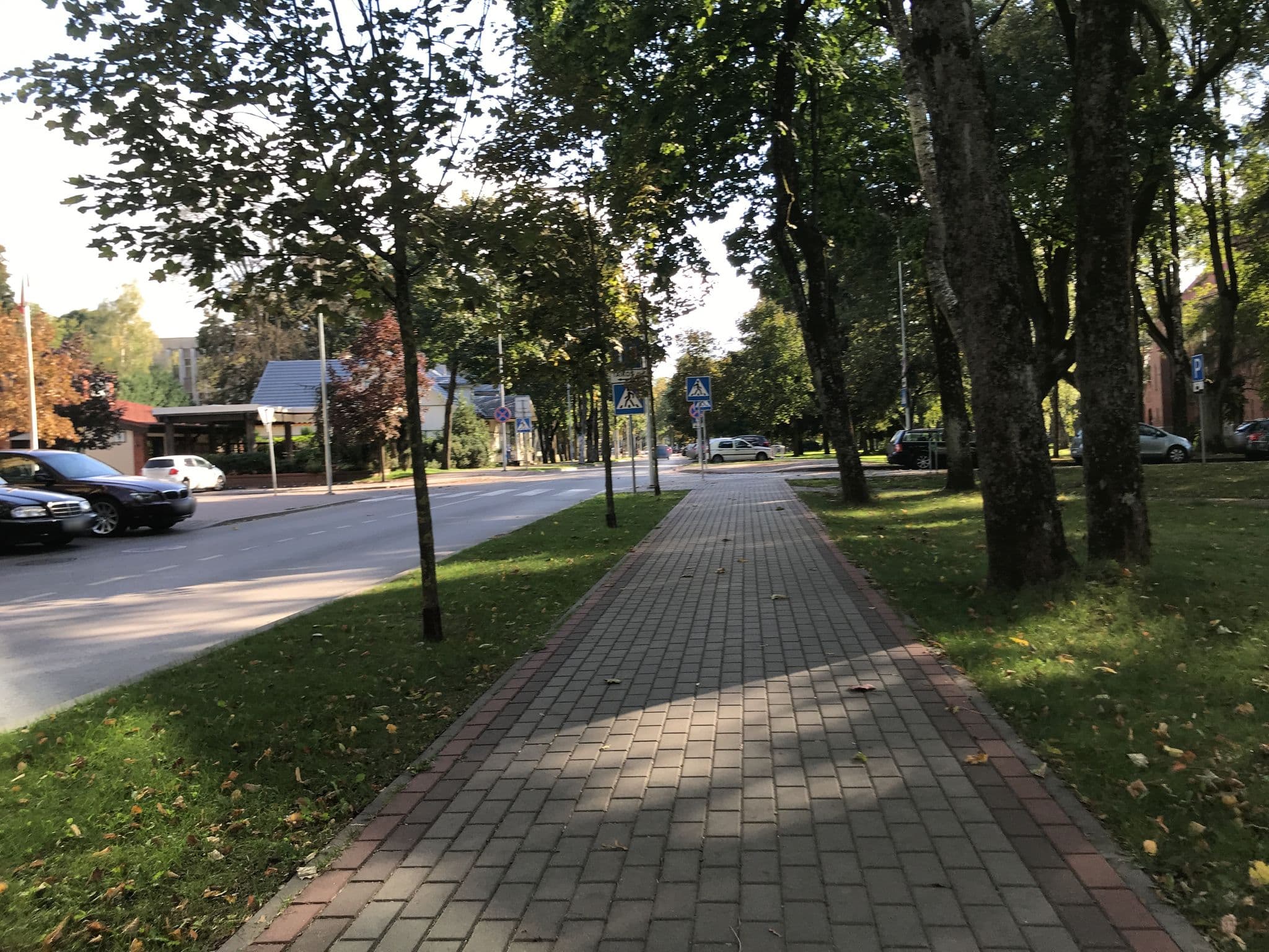 Street view near Druskininkai, Druskininkai — © miguel_andrade (CC BY-SA · Mapillary)