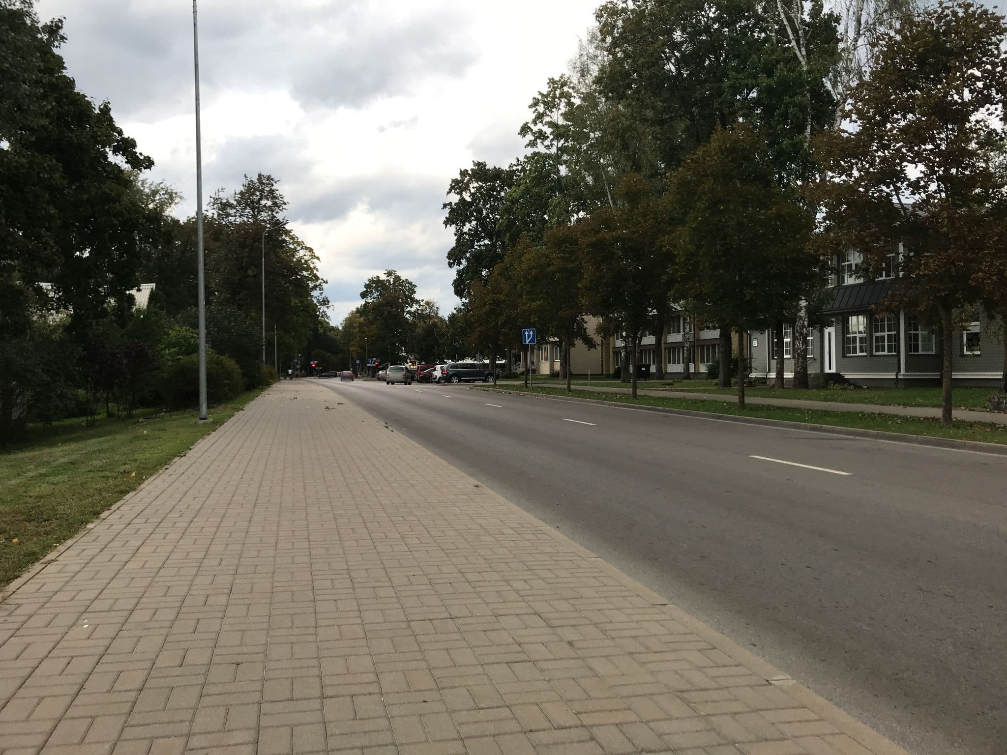 Street view near Paežerės vila, Druskininkai — © miguel_andrade (CC BY-SA · Mapillary)
